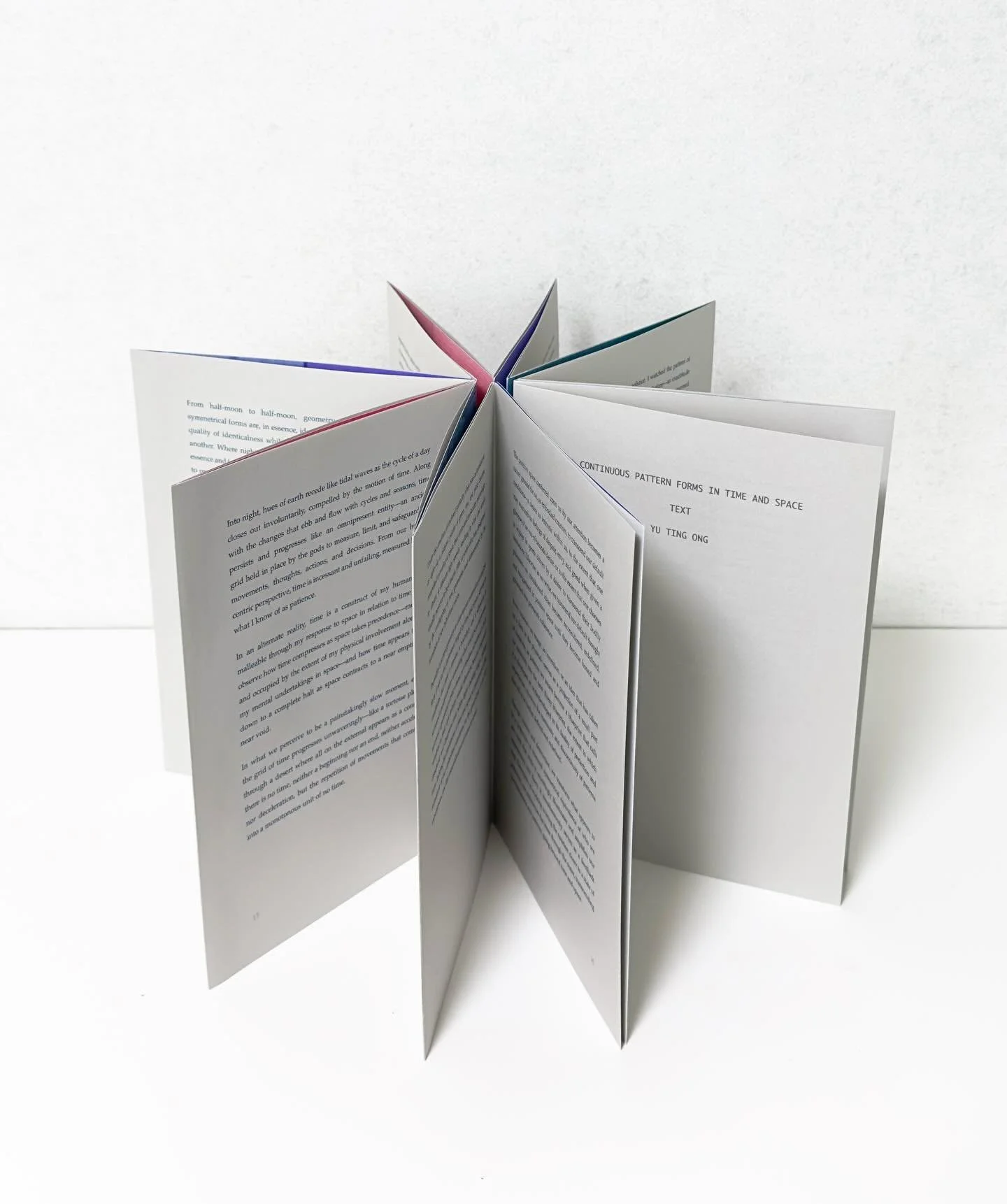Text pages (reverse side) arranged in a carousel book form
.
.
.
#artistbook #bookform #artistwriting #accordionbook  #yutingong