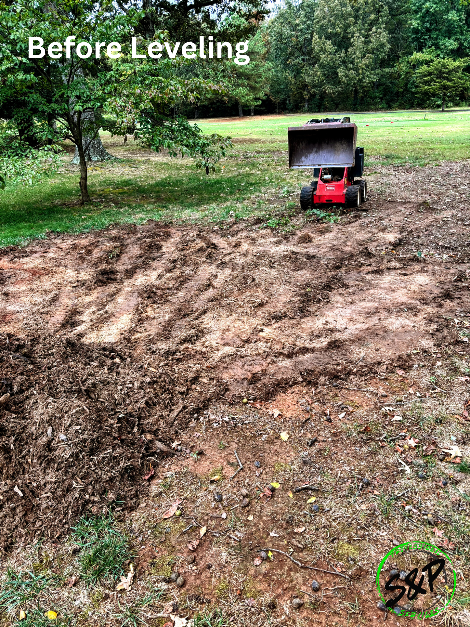 Before Picture after trees were removed and stumped grinded