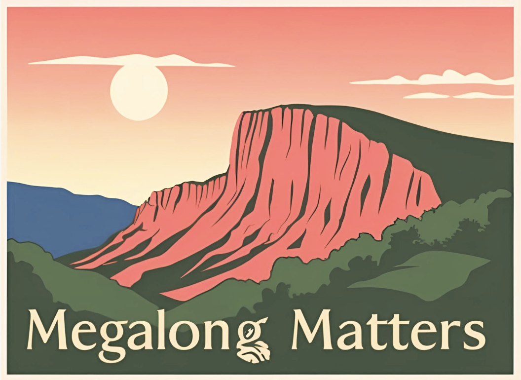 Megalong Matters