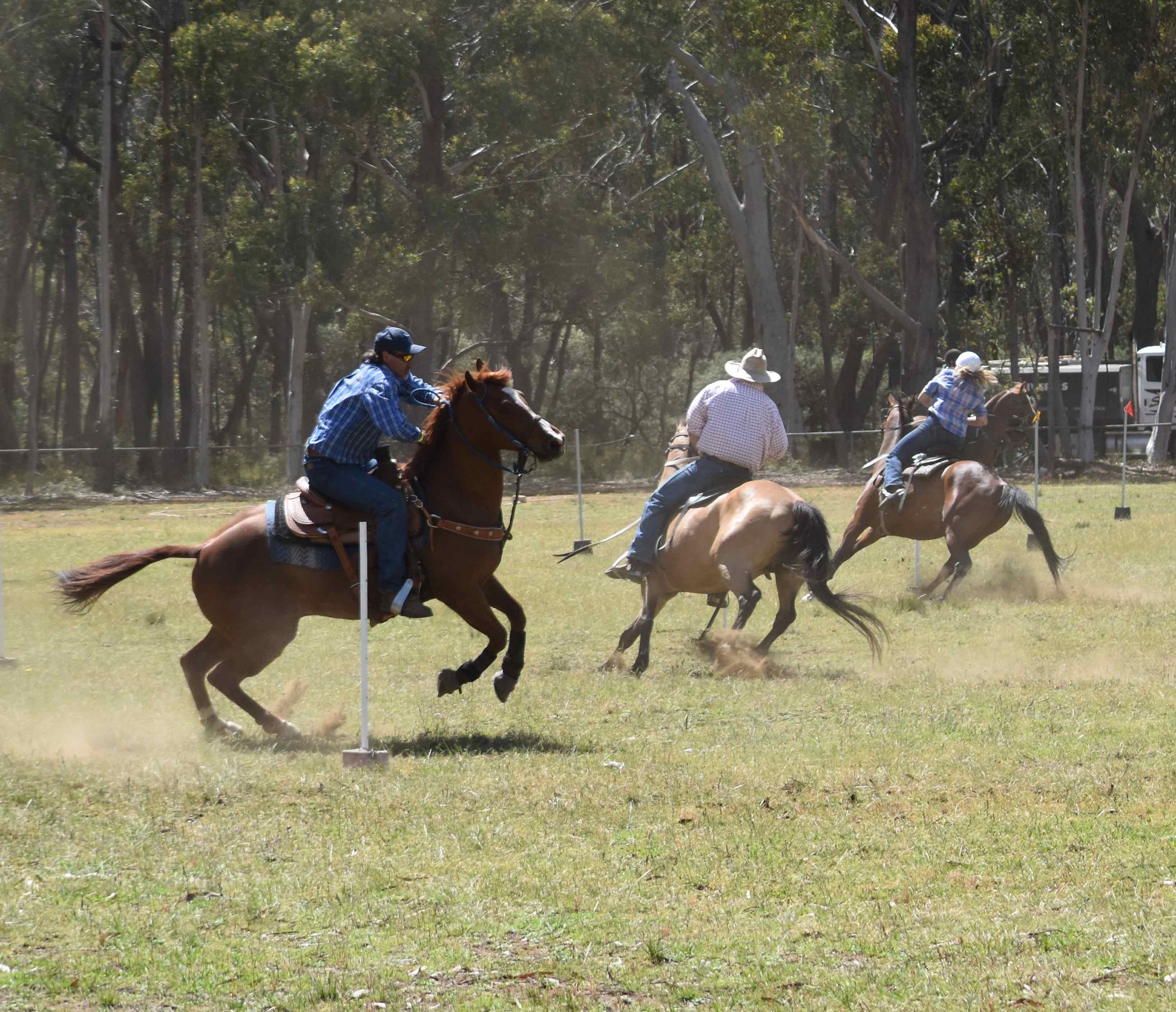 Megalong Bush Gymkhana