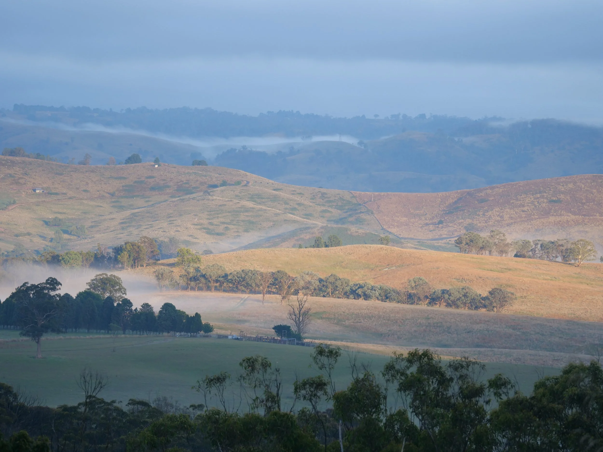 Megalong Valley Image by Claudia Abbott