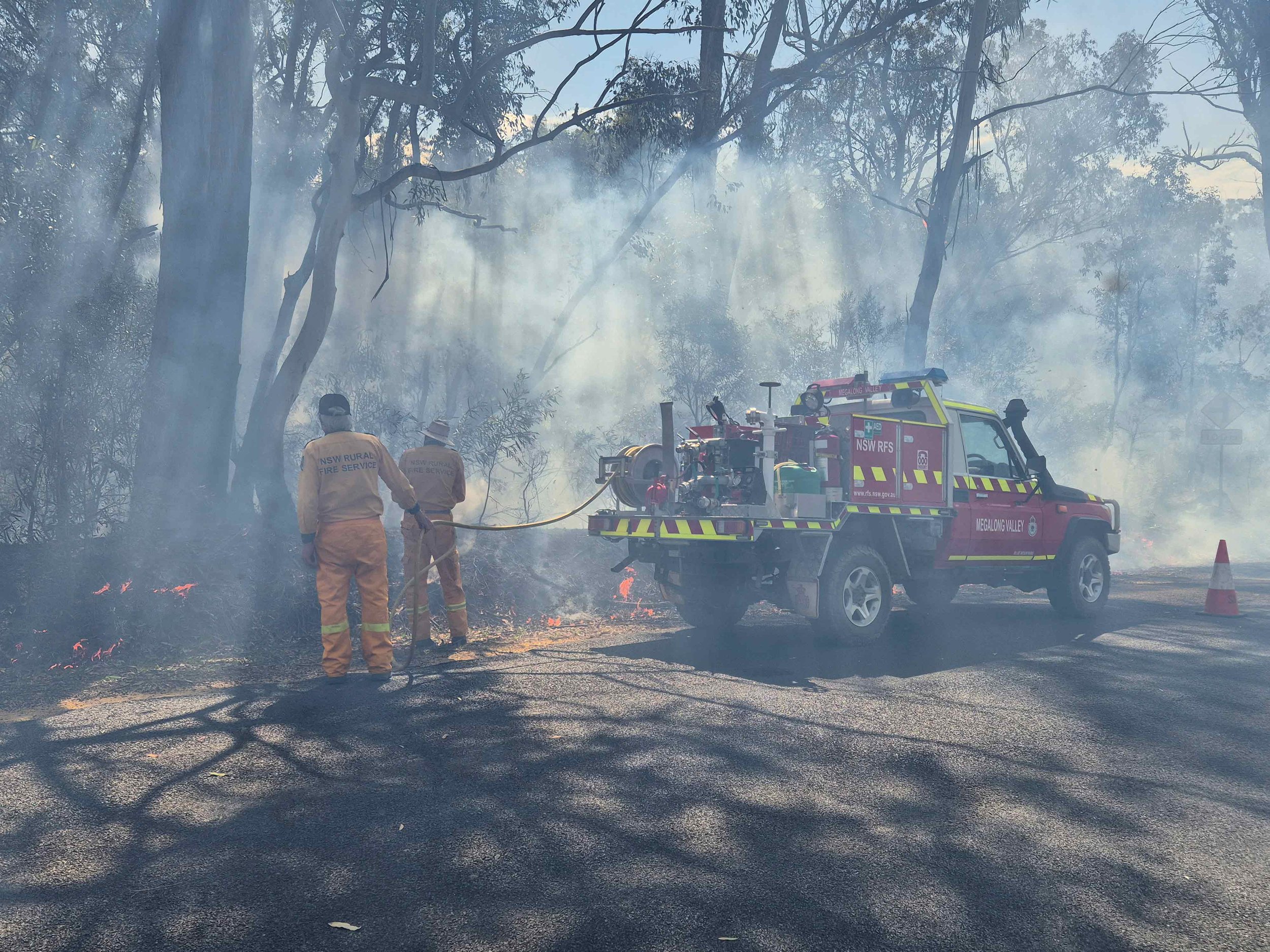 Firefighters from the NSW Rural Fire Service putting out a small grass fire near trees on a smoky day, using a fire truck on the side of a road.