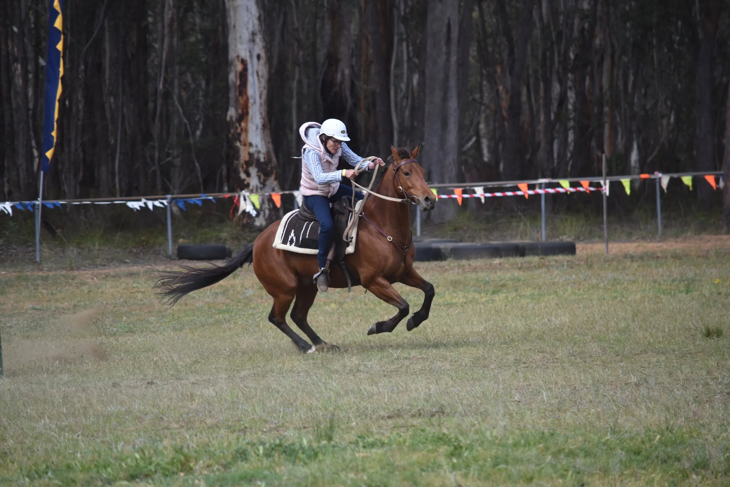 Megalong Gymkhana image by Claudia Abbott