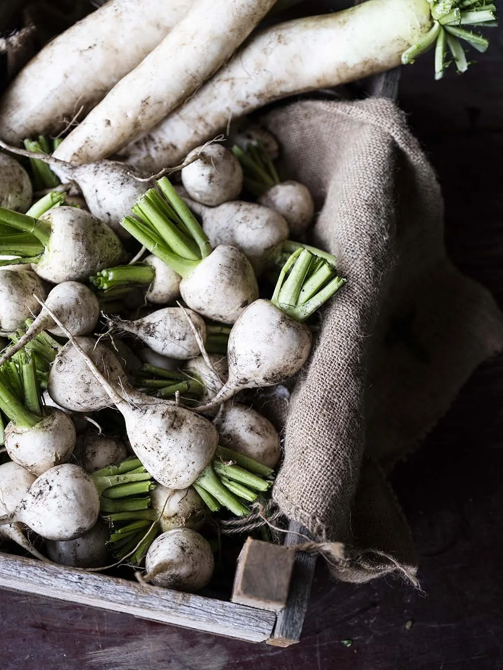 Image by Brigid Arnott
