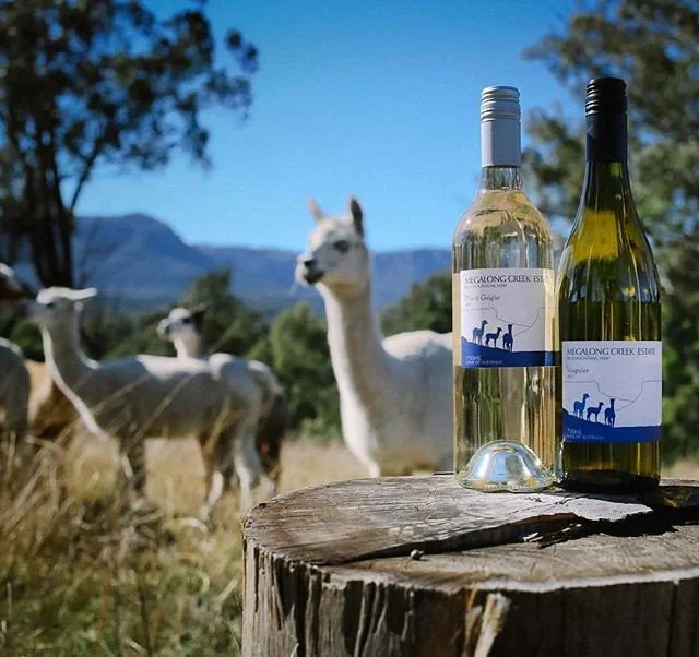 MegalongCreekEstate_02.jpg