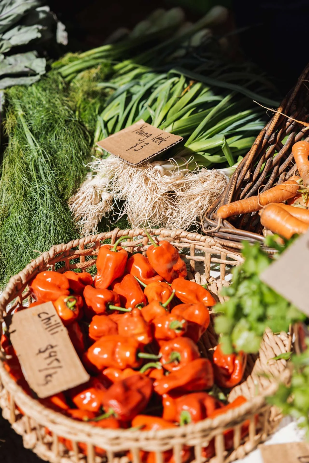Fresh vegetables for sale at a market, including red chili peppers in a basket, carrots in a basket, green onions, and fresh herbs.