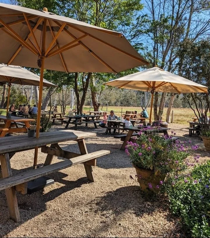 PHOTO-2026-01-16-13-53-26 (1).jpg