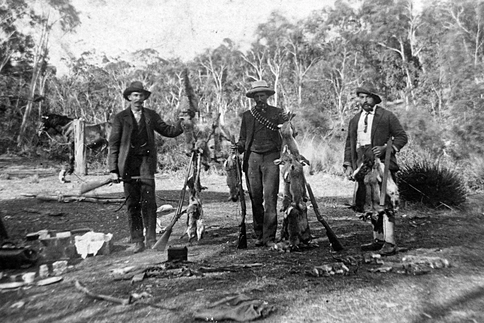 Three men standing outdoors with rifles and animal pelts, likely hunters, in a wooded area. Megalong Valley.