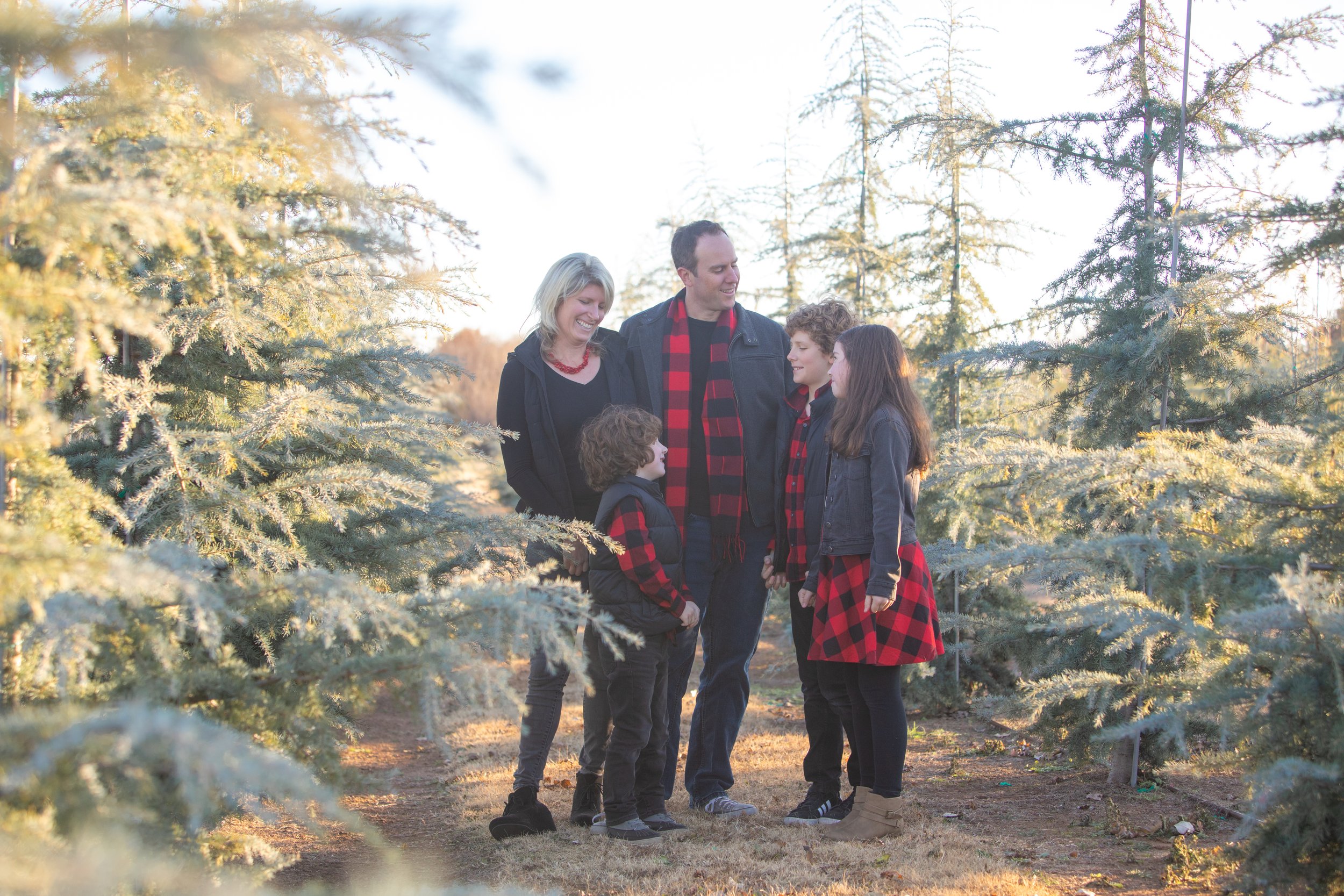 Family standing outdoors in a pine tree field wearing red and black plaid clothing.