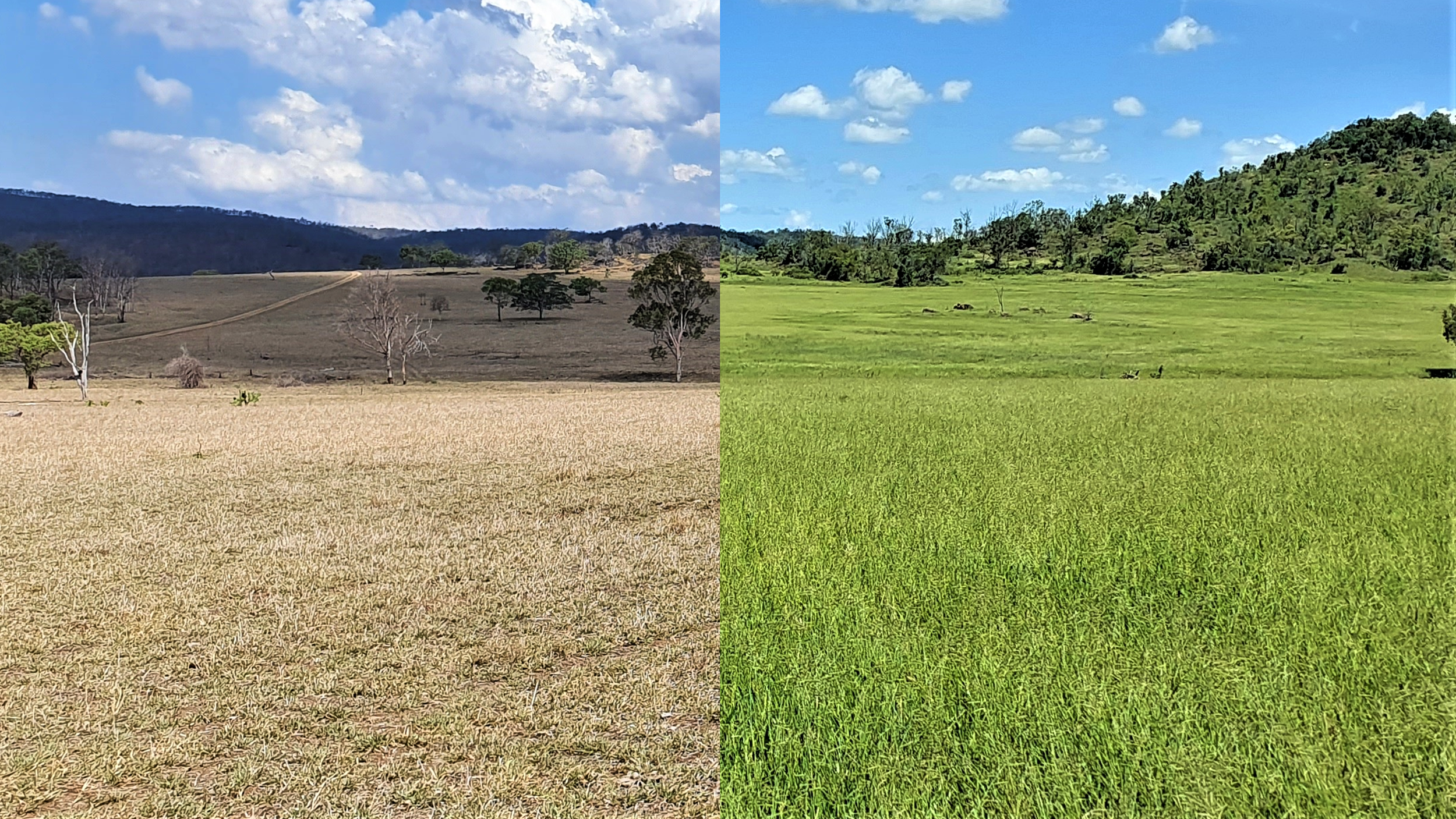 Biosolids in Agriculture: Separating the Facts from the Misconceptions&nbsp;