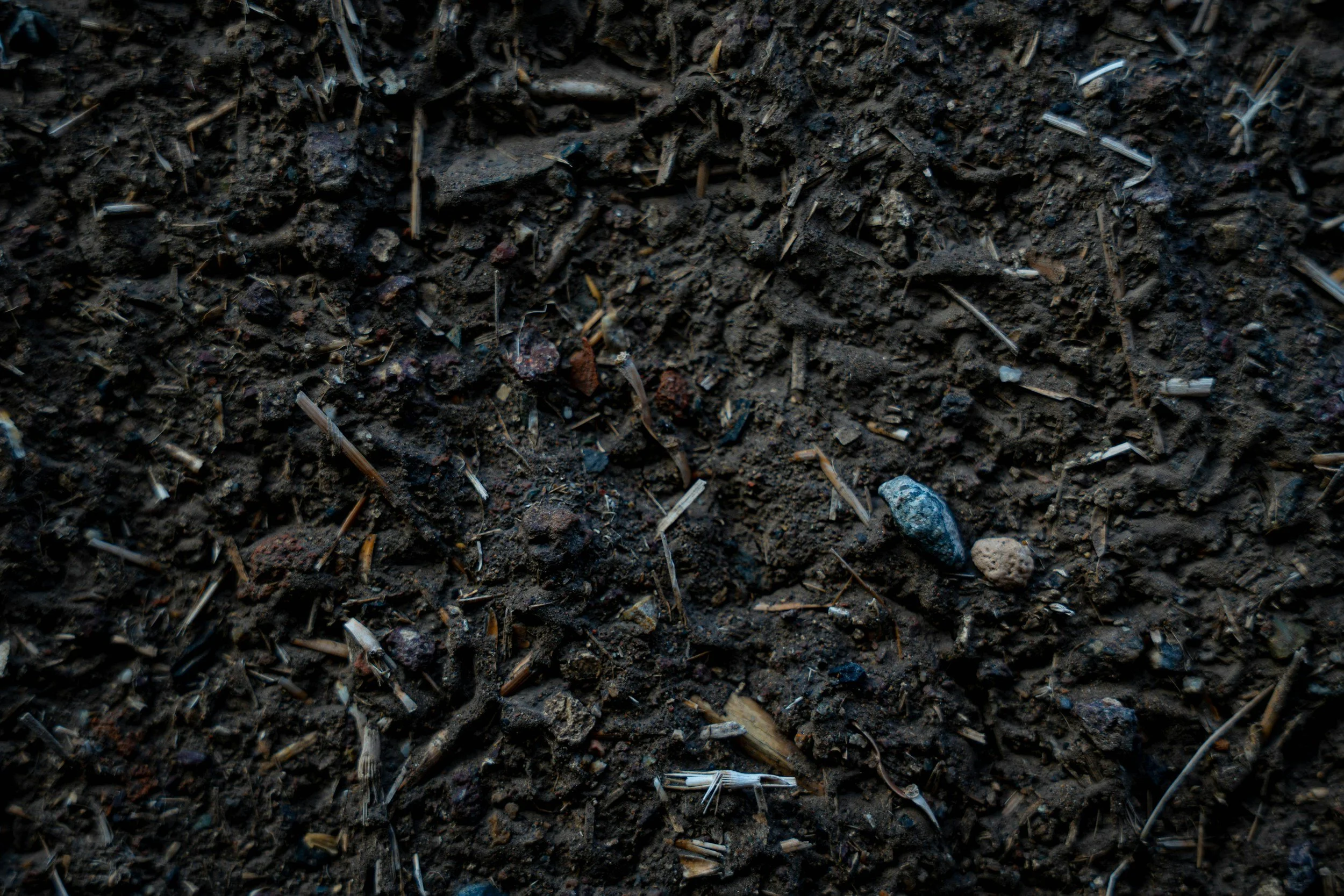 Close up of healthy soil mixed with organic matter