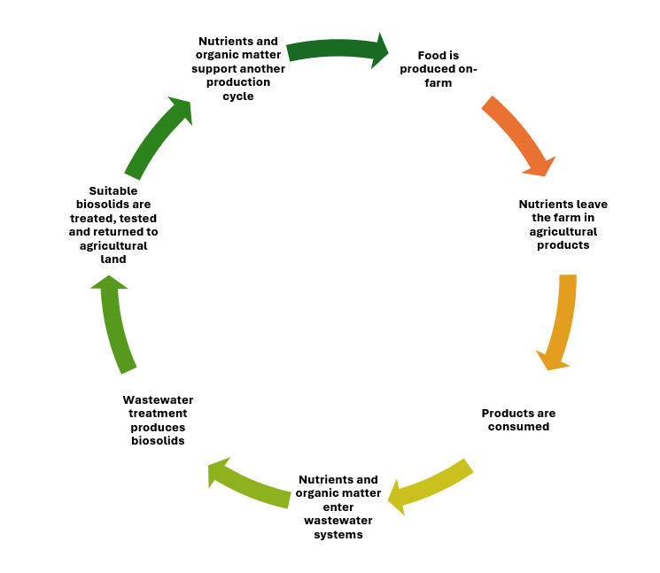 A cycle showing a seven step process from food being produced on-farm through to nutrients and organic matter being reapplied to support another production cycle