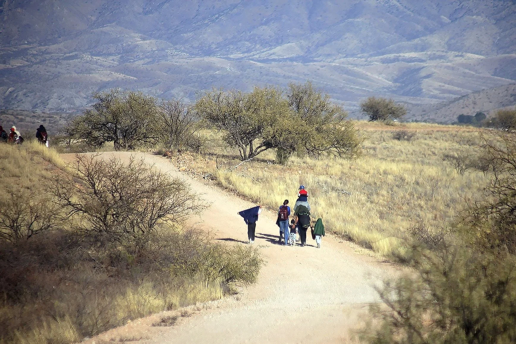 Migration