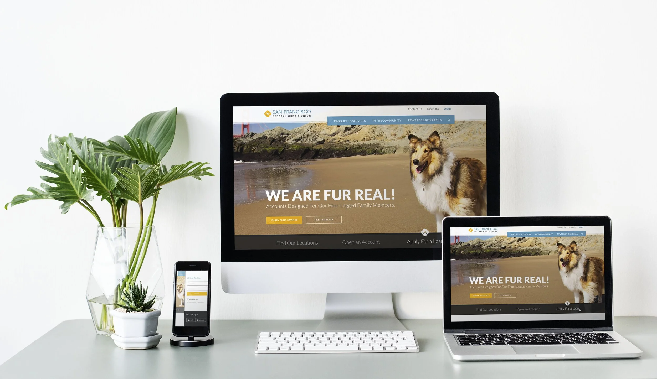 San Francisco Federal Credit Union Website