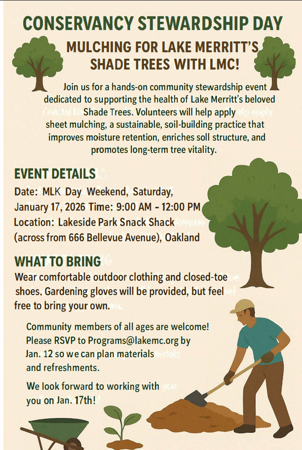 Lakeside Park Tree Care