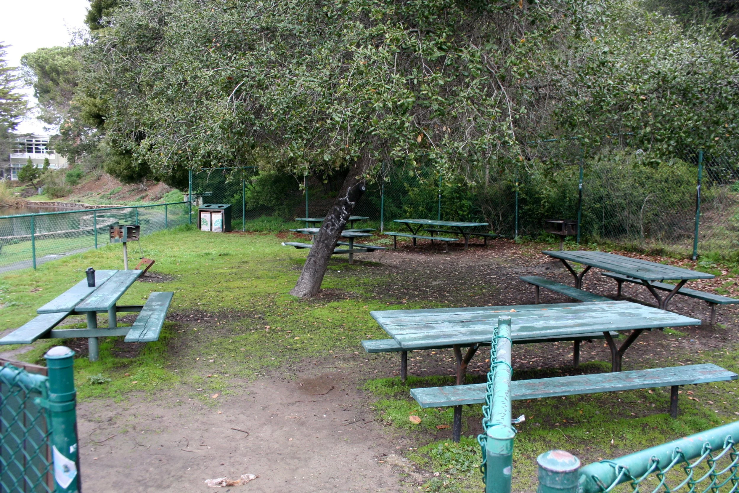Montclair Park Clean Up