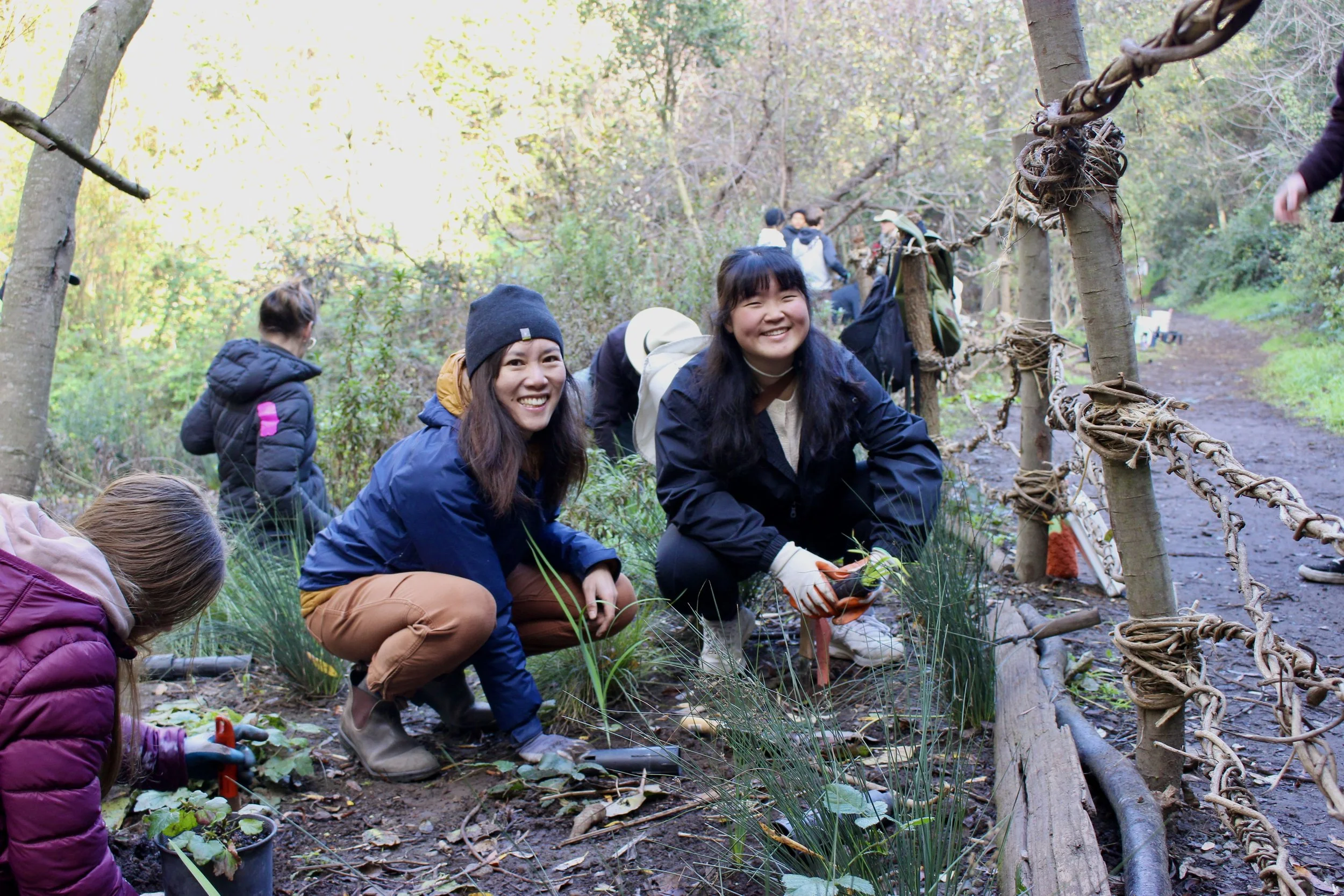 Creek to Bay Day - Dimond Canyon Restoration Workday