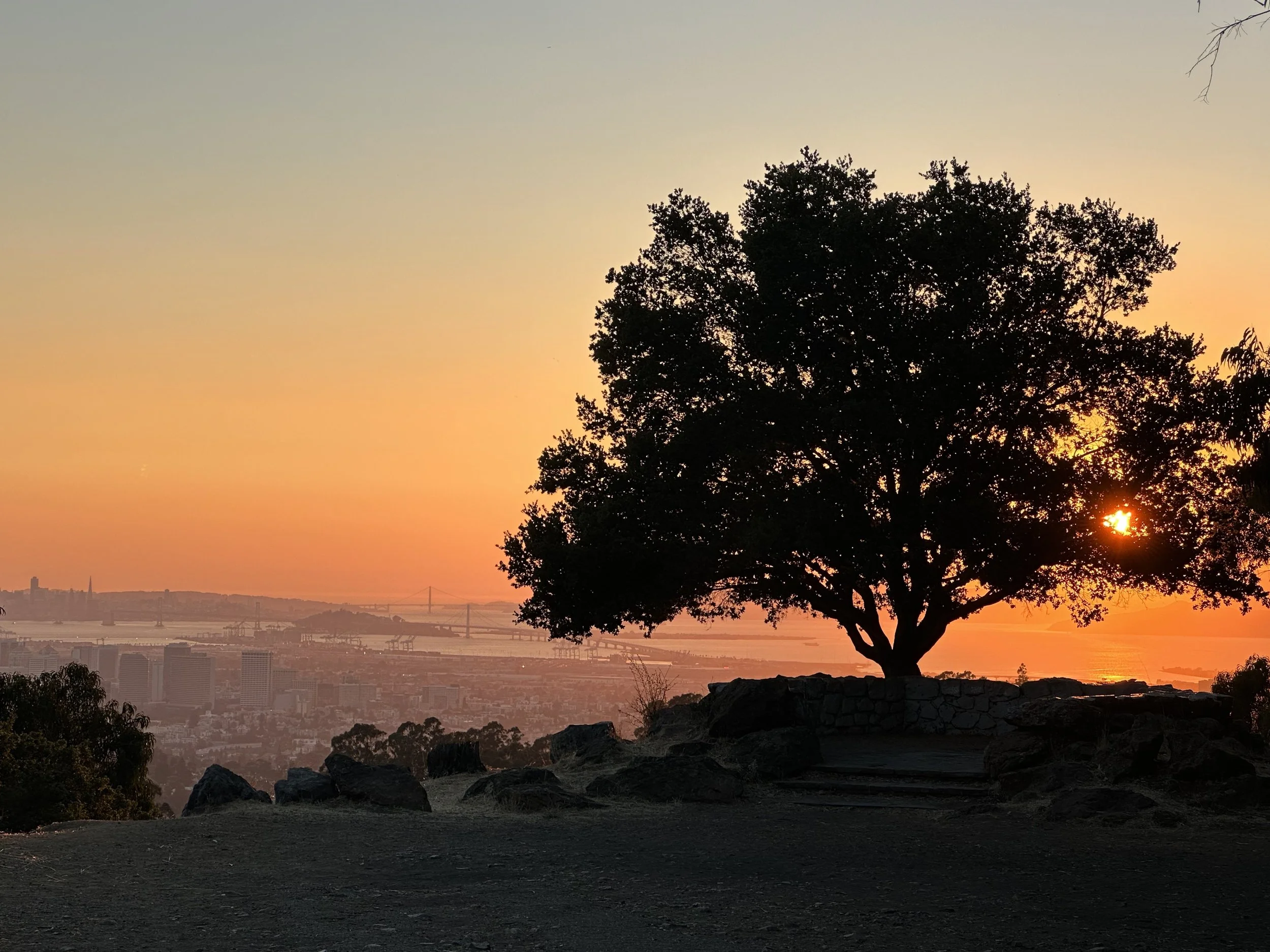  Friends of Sausal Creek 30th Anniversary Sunset Soirée