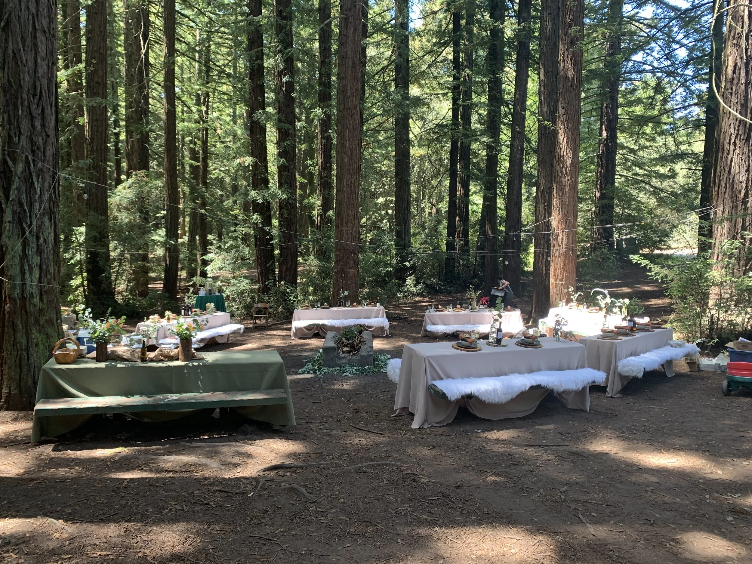 Friends of Oakland Parks & Recreations