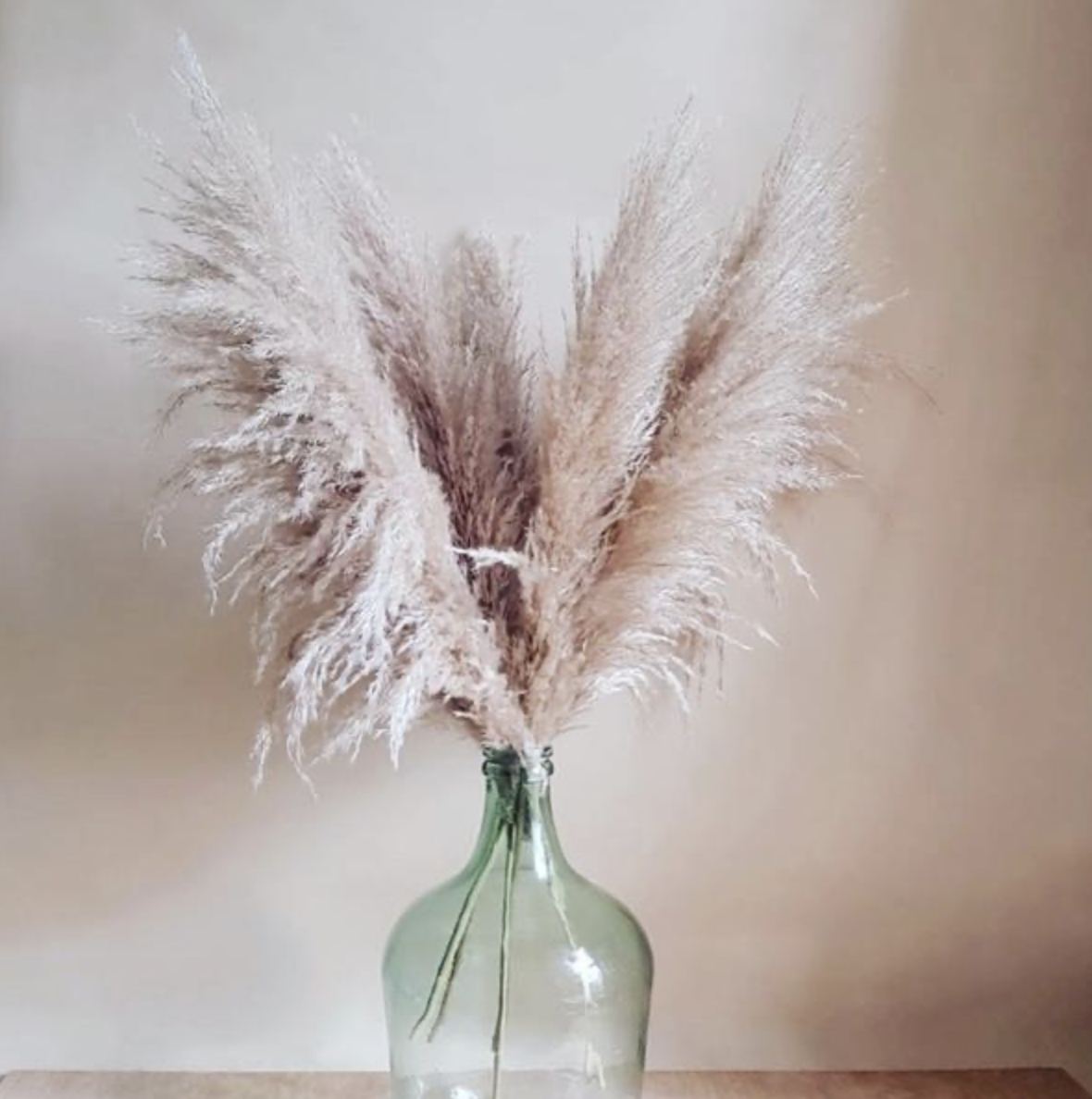 Screenshot 2023-08-21 at 10.04.24 PM.png