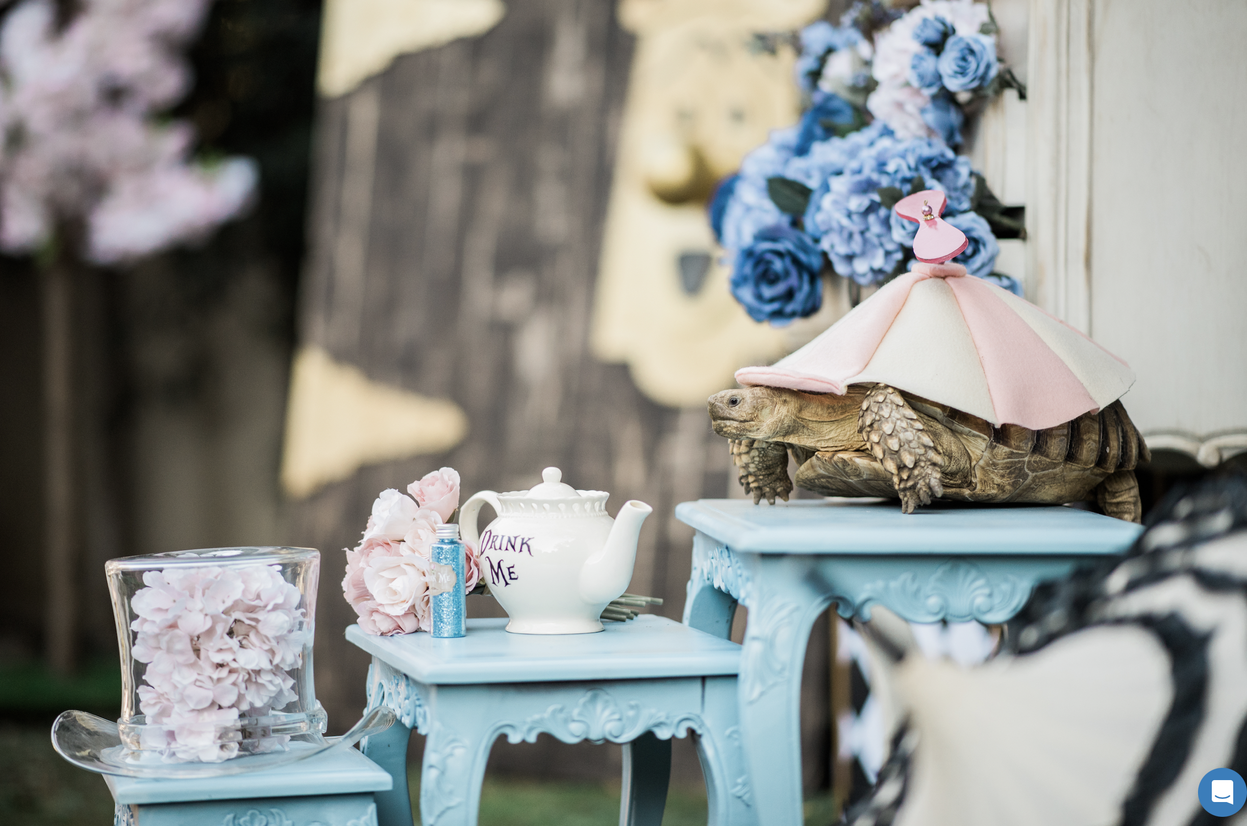 Screenshot 2023-08-21 at 1.31.27 PM.png