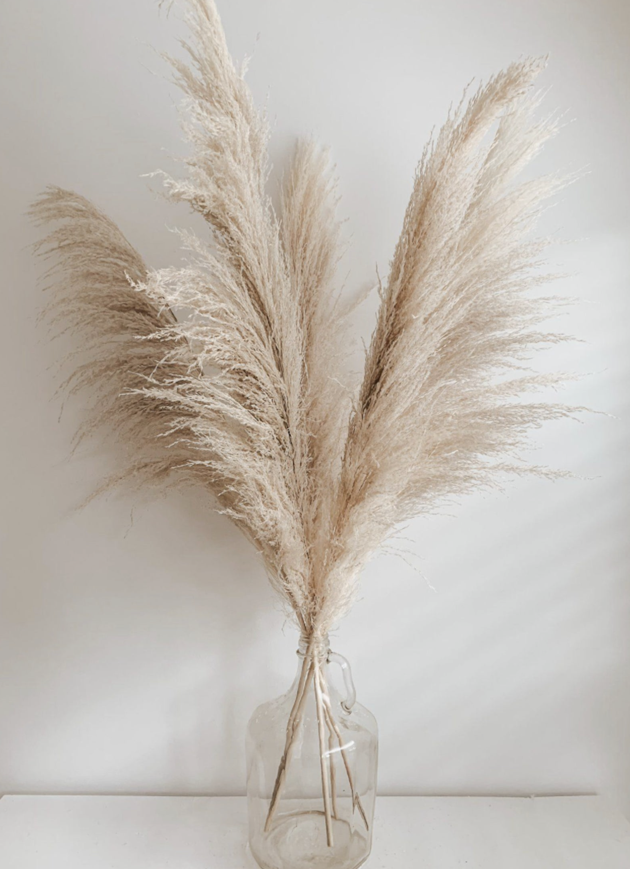 Screenshot 2023-08-21 at 10.04.10 PM.png