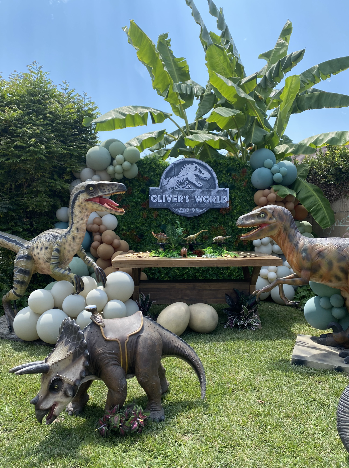 Screenshot 2023-08-21 at 1.01.31 PM.png