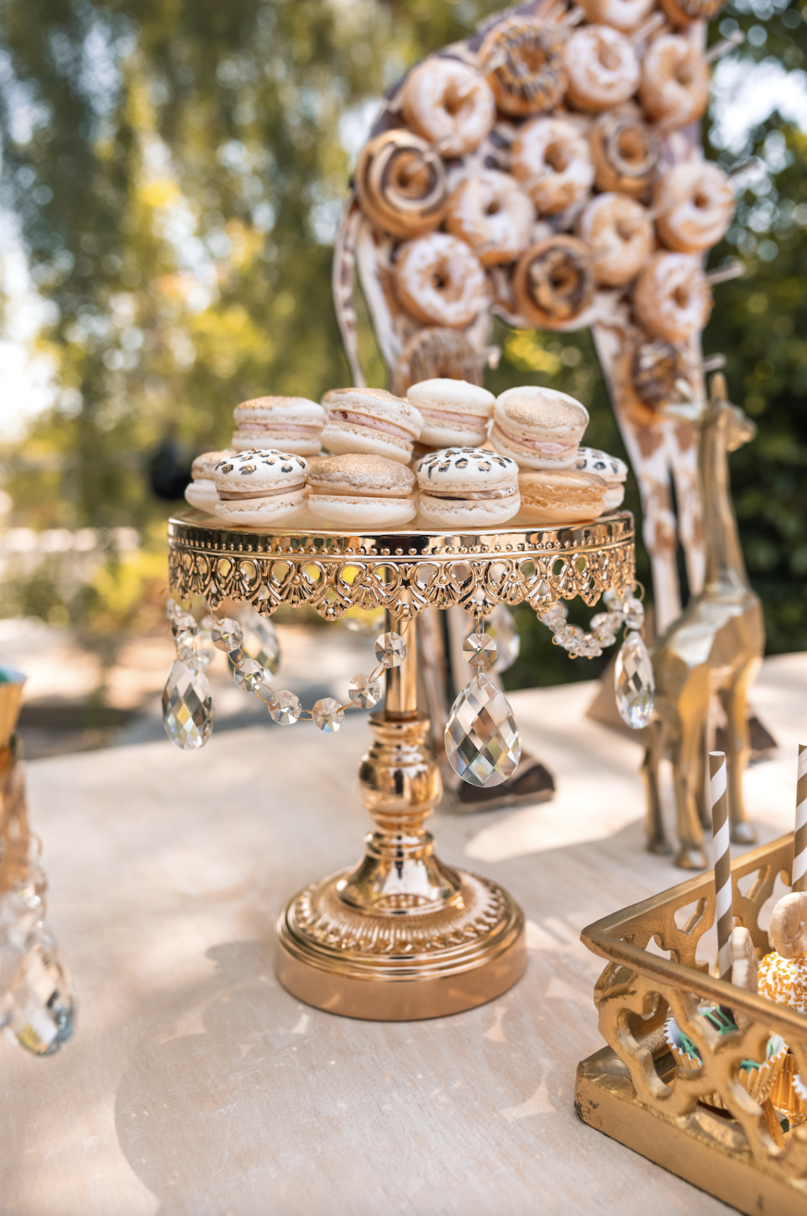 Screen Shot 2021-08-17 at 4.10.35 PM - Copy.png