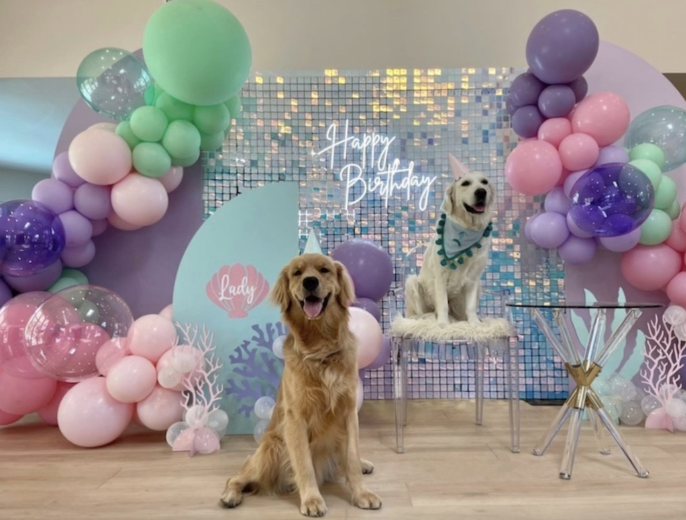 Screenshot 2023-08-21 at 8.55.21 PM.png