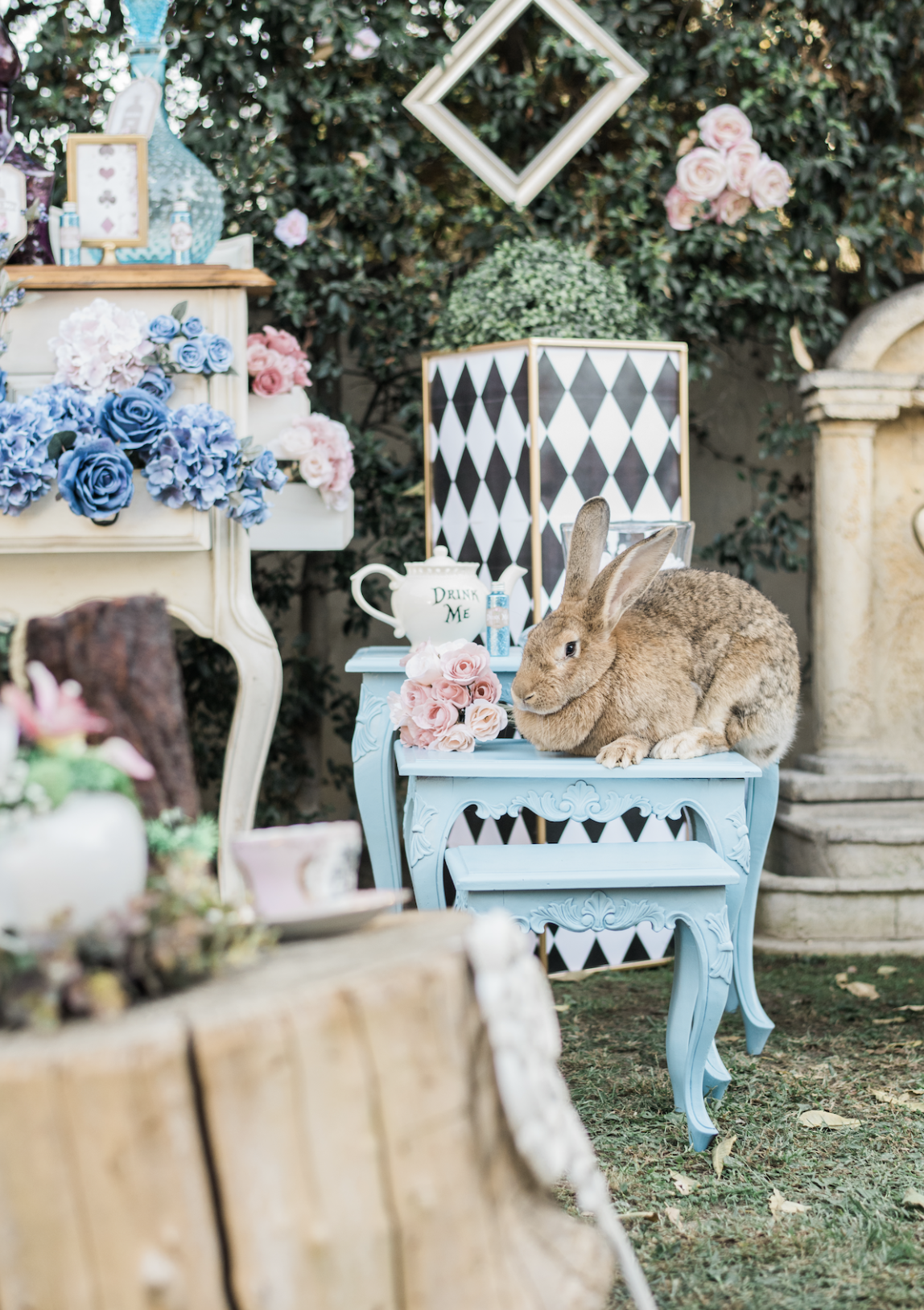 Screenshot 2023-08-21 at 1.31.14 PM.png