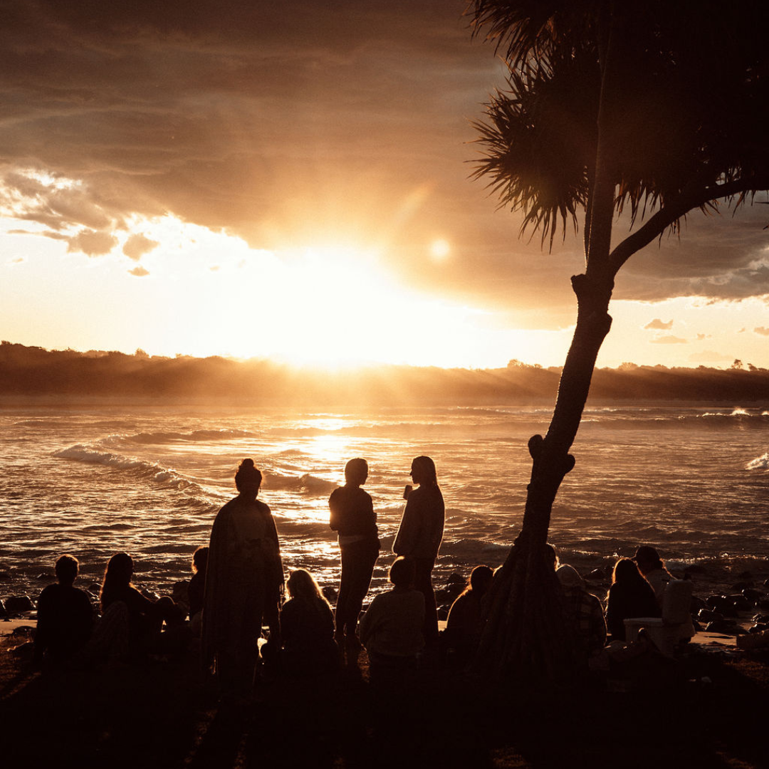 Silhouetted group of people on a beach watching a sunset over the ocean with a palm tree on the right.