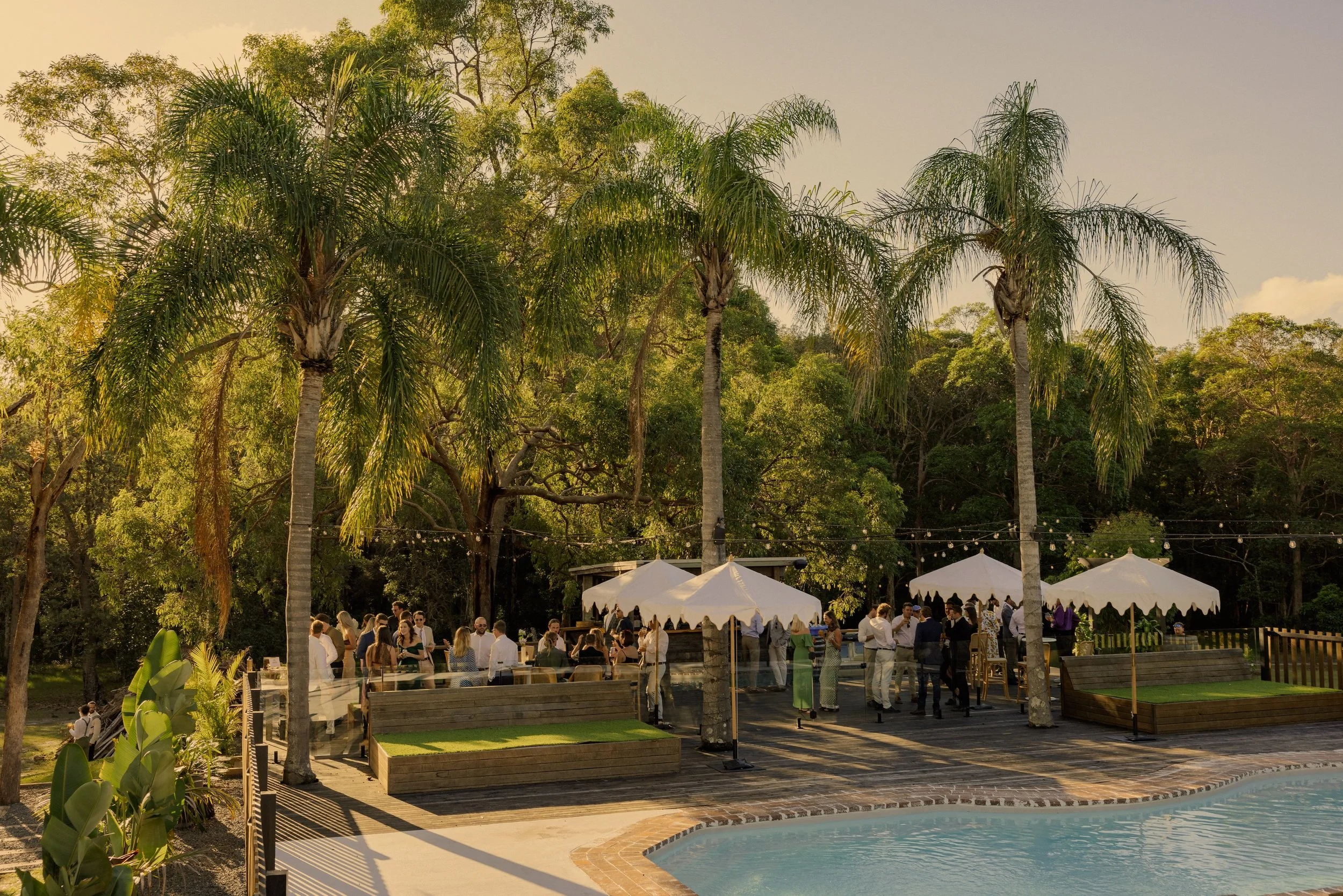 Outdoor event with palm trees, people socializing under white canopies, string lights, and a swimming pool in a lush, green setting.