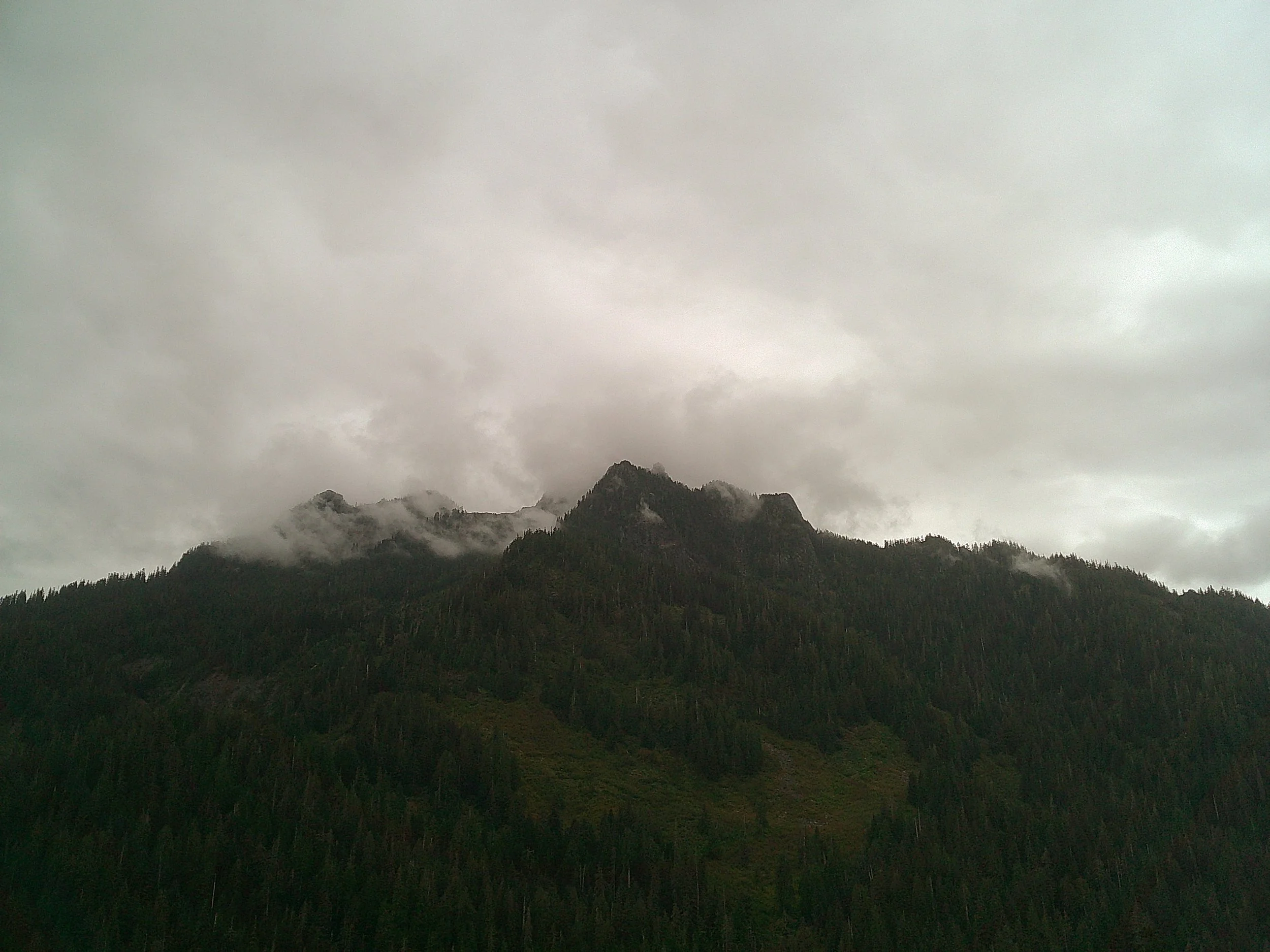 DSCF0798.JPG