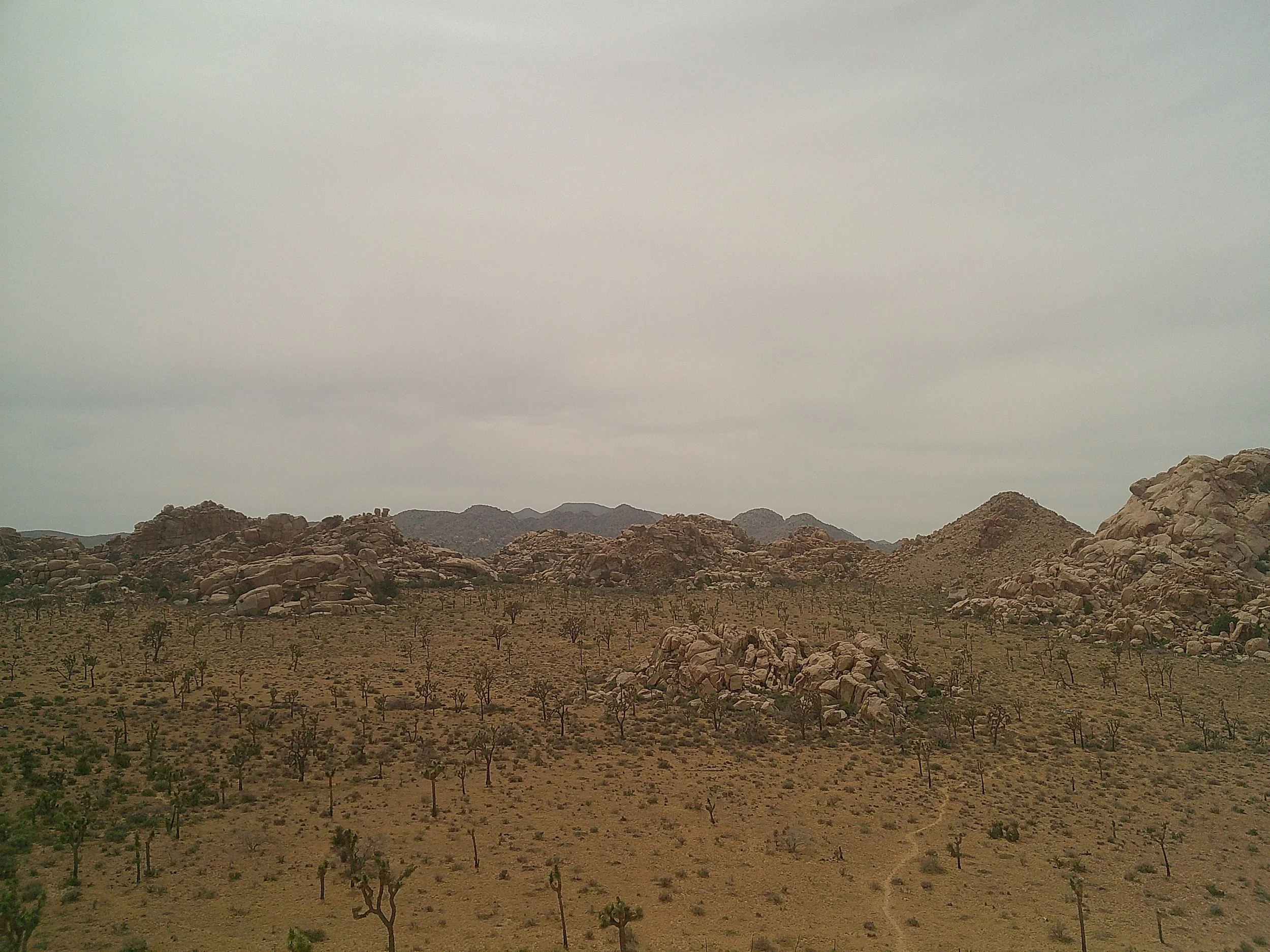DSCF0271.JPG