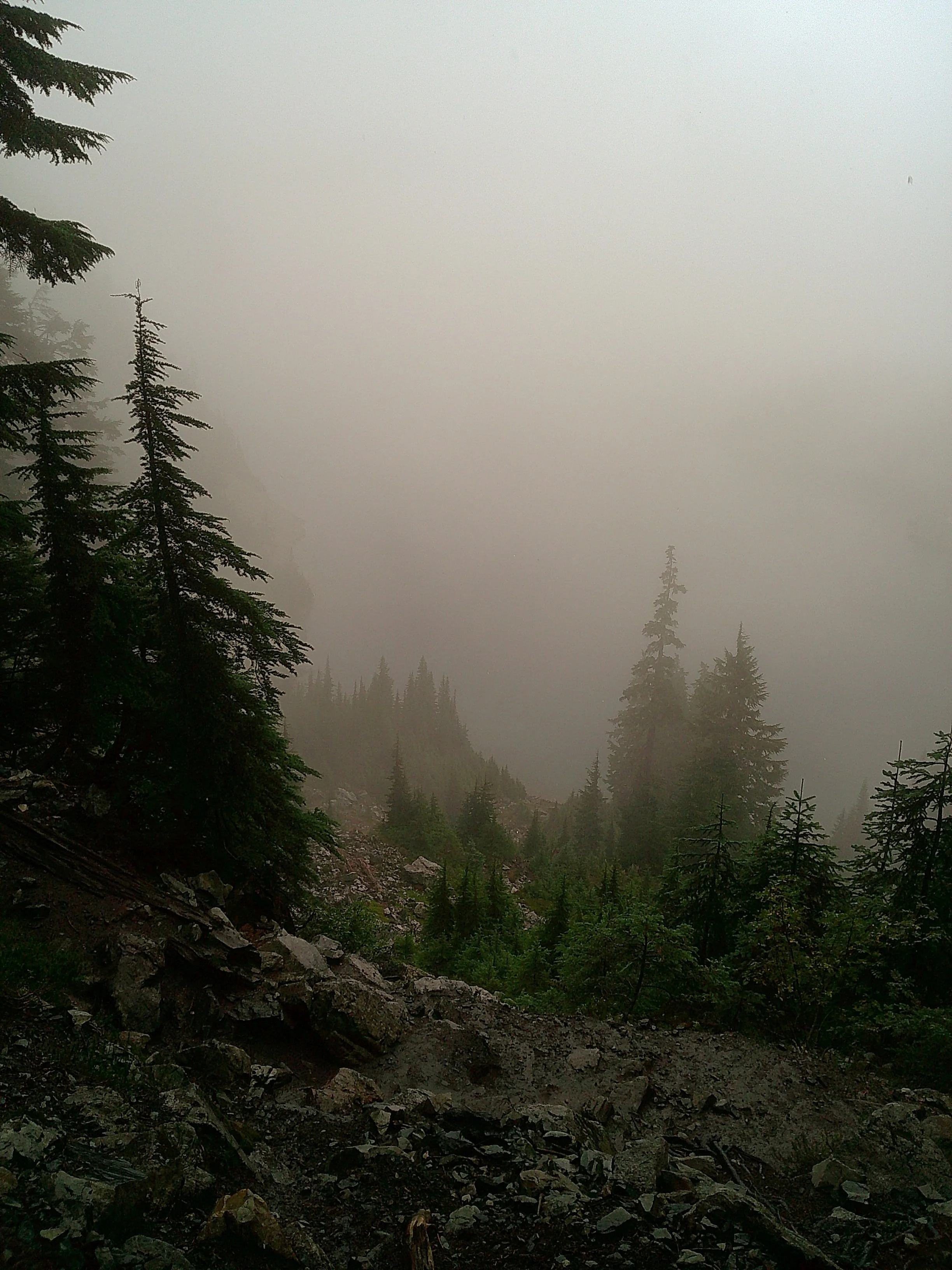 DSCF0732.JPG