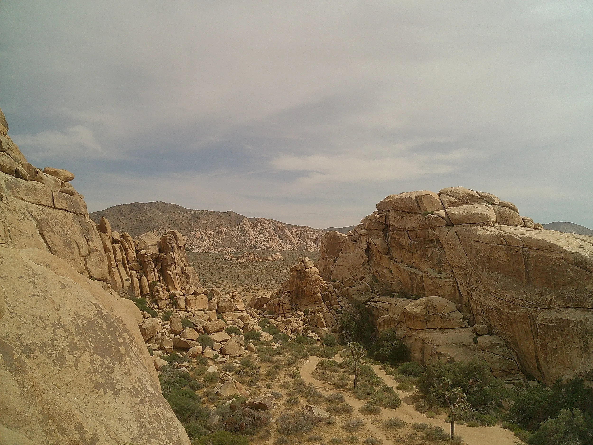 DSCF0272.JPG
