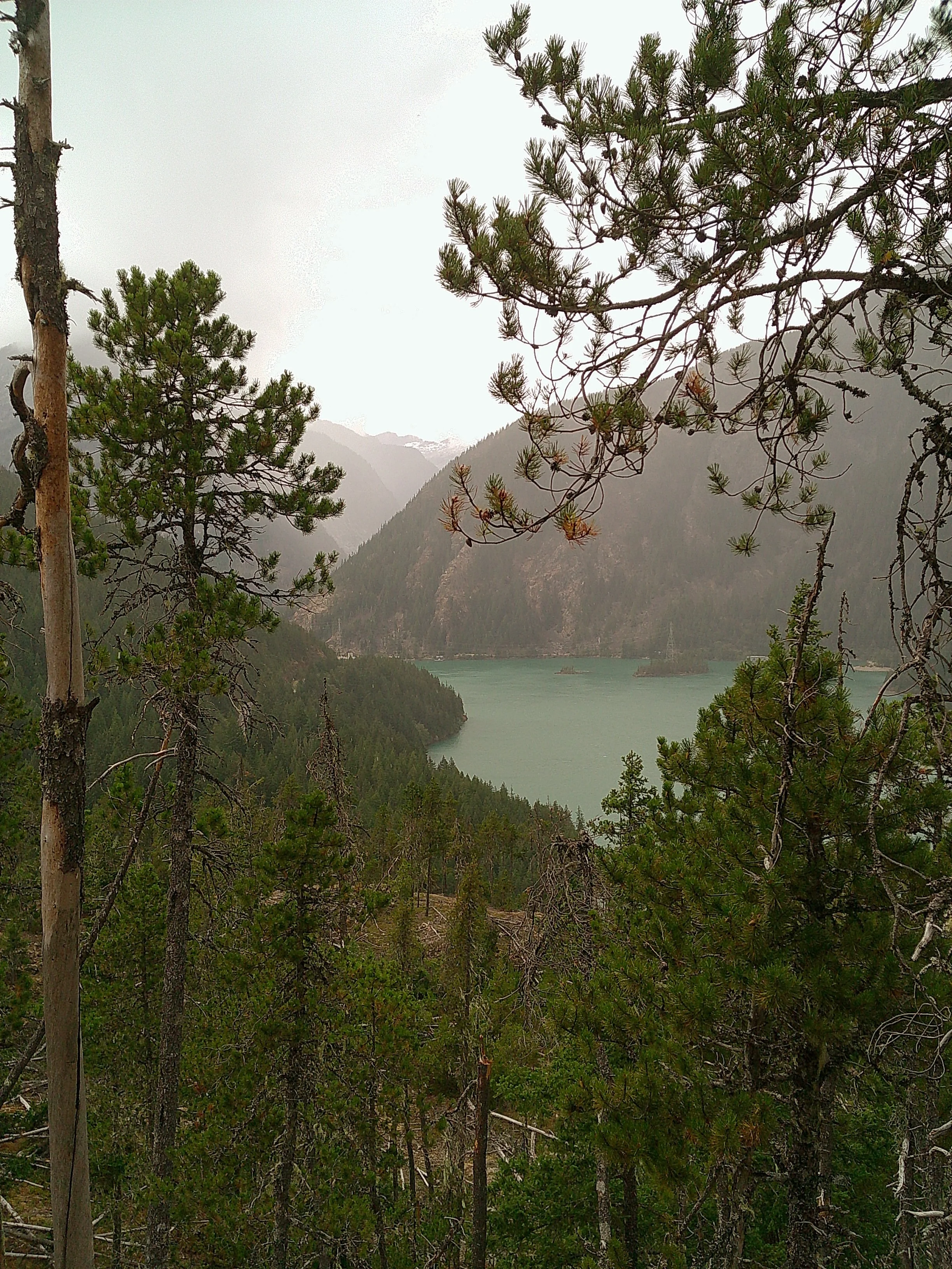 DSCF0540.JPG