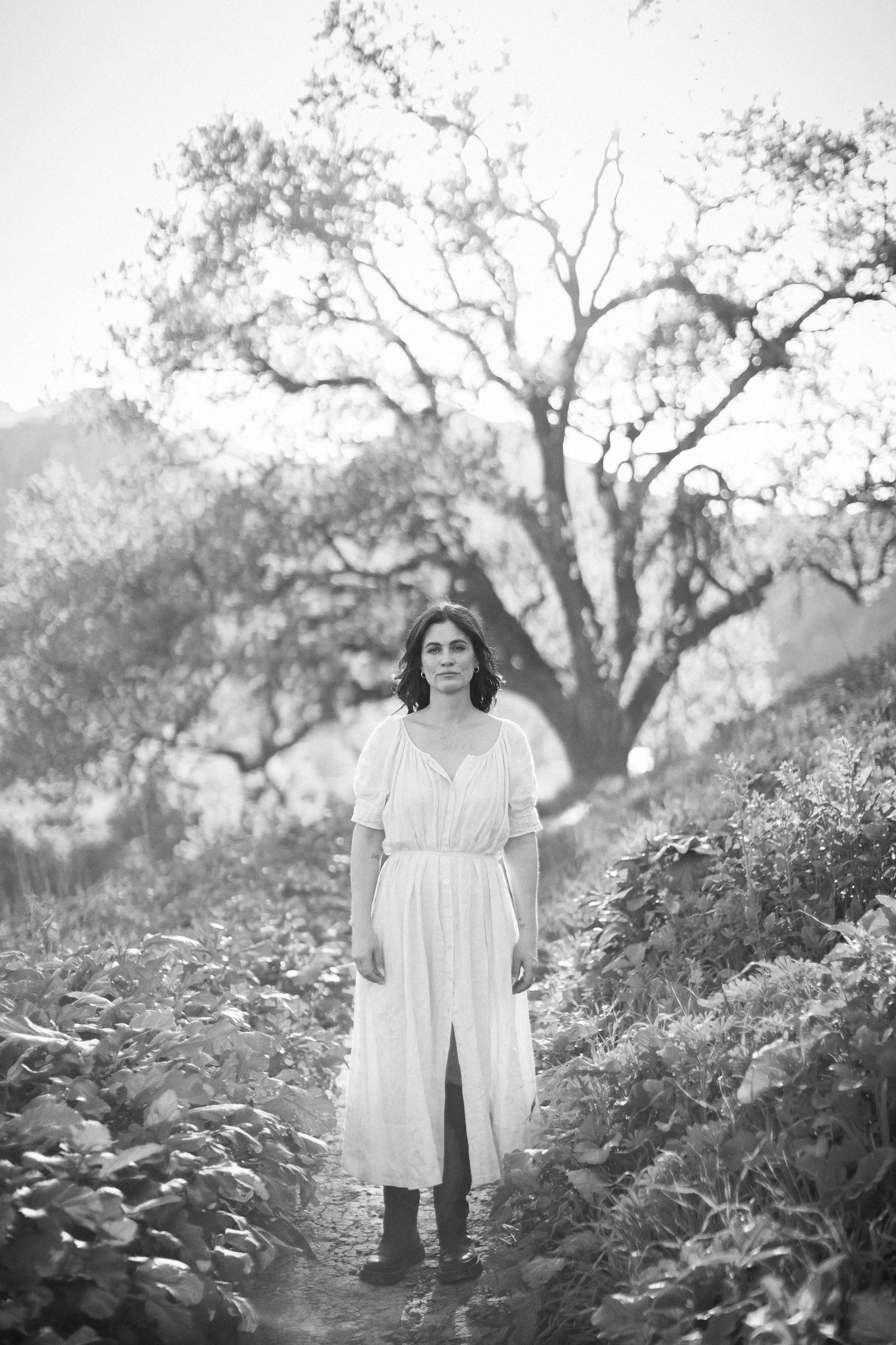 A woman in a white dress stands between rows of green plants in a garden with a large tree in the background. The scene is illuminated by warm, natural sunlight.
