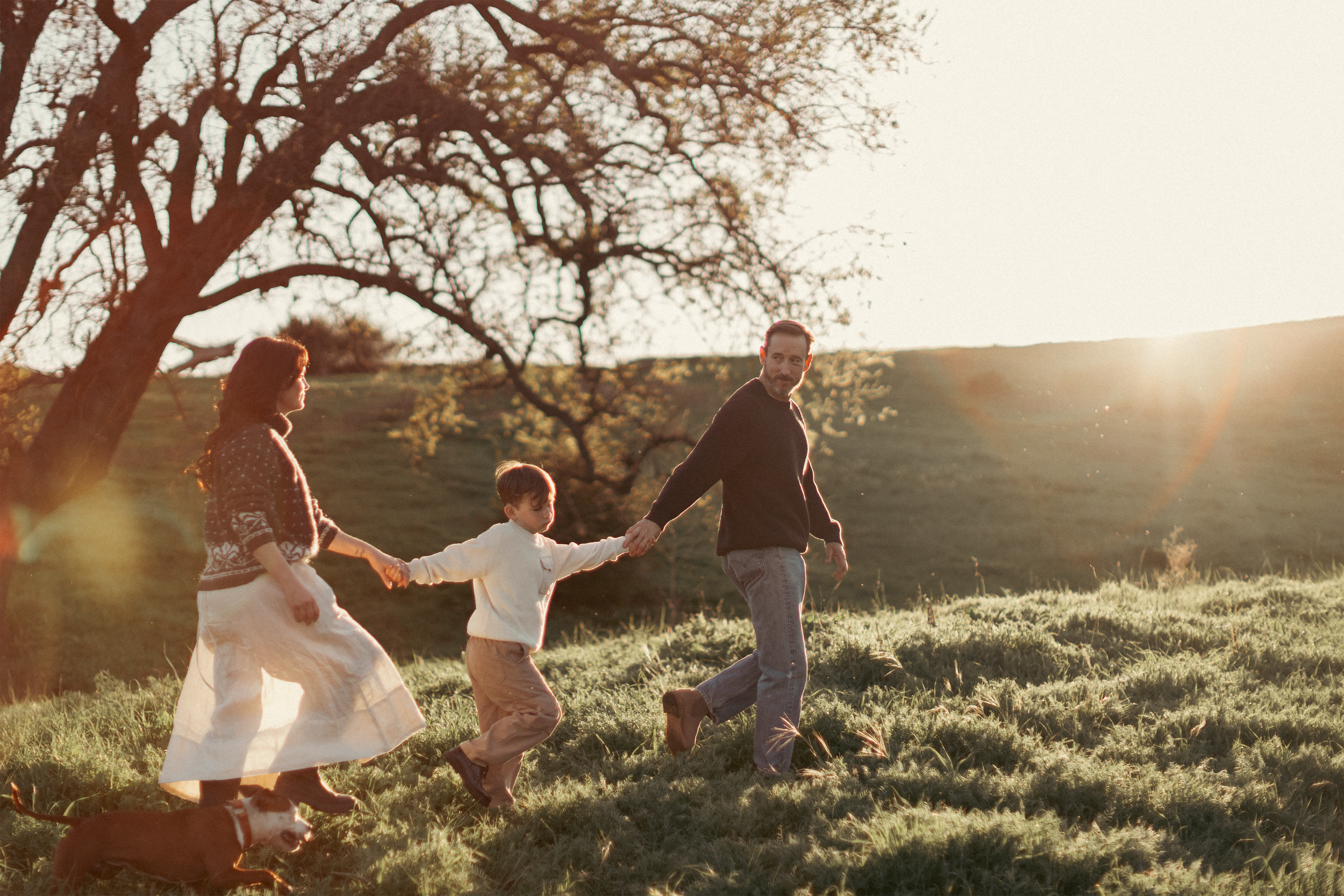 A family of four and a dog walking together in a field during sunset. The family members are holding hands, and the scene is bathed in warm, golden light.