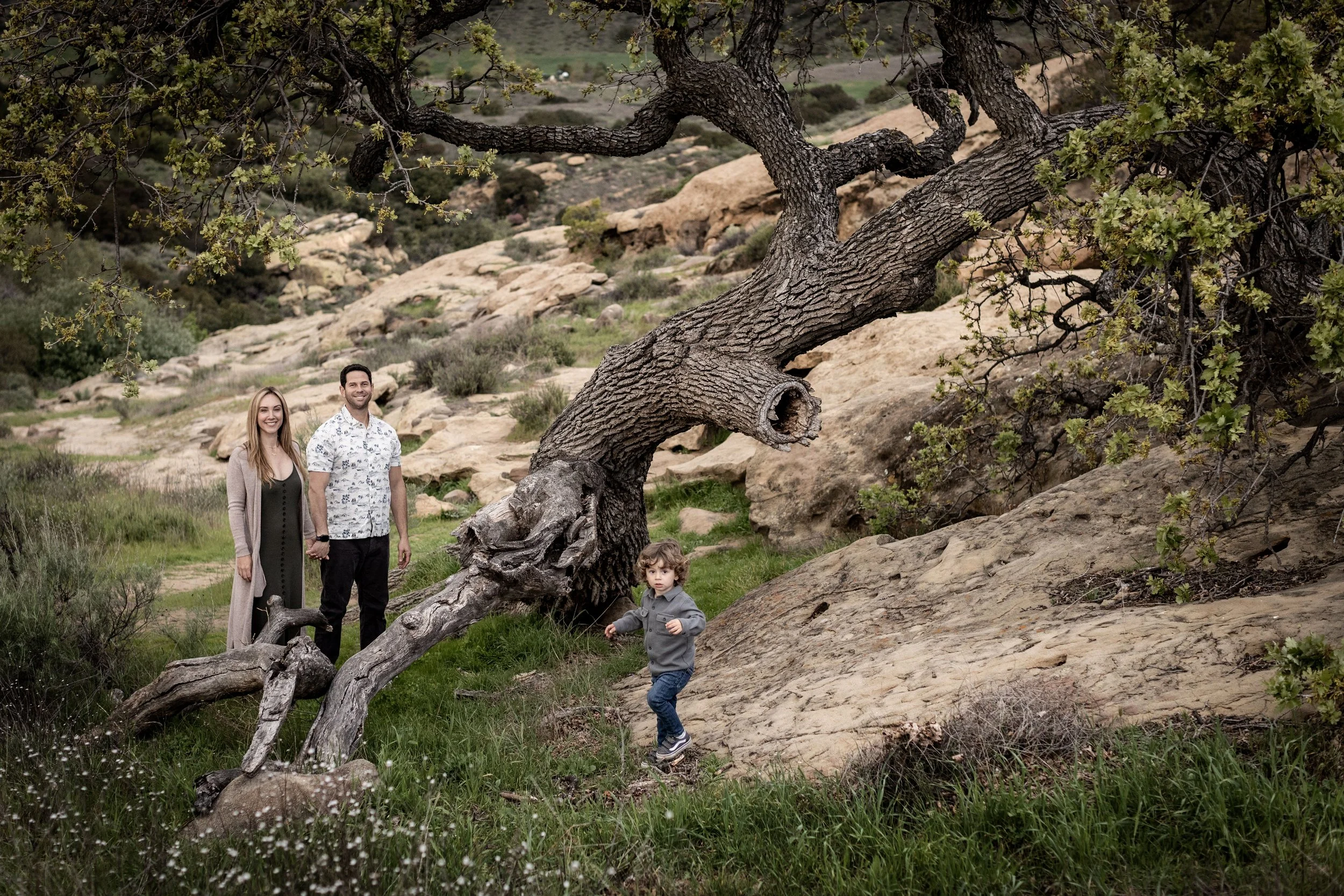 A family of three, a woman, a man, and a young boy, are standing and playing outdoors in a rocky, grassy area with a large, leaning tree and hills in the background.