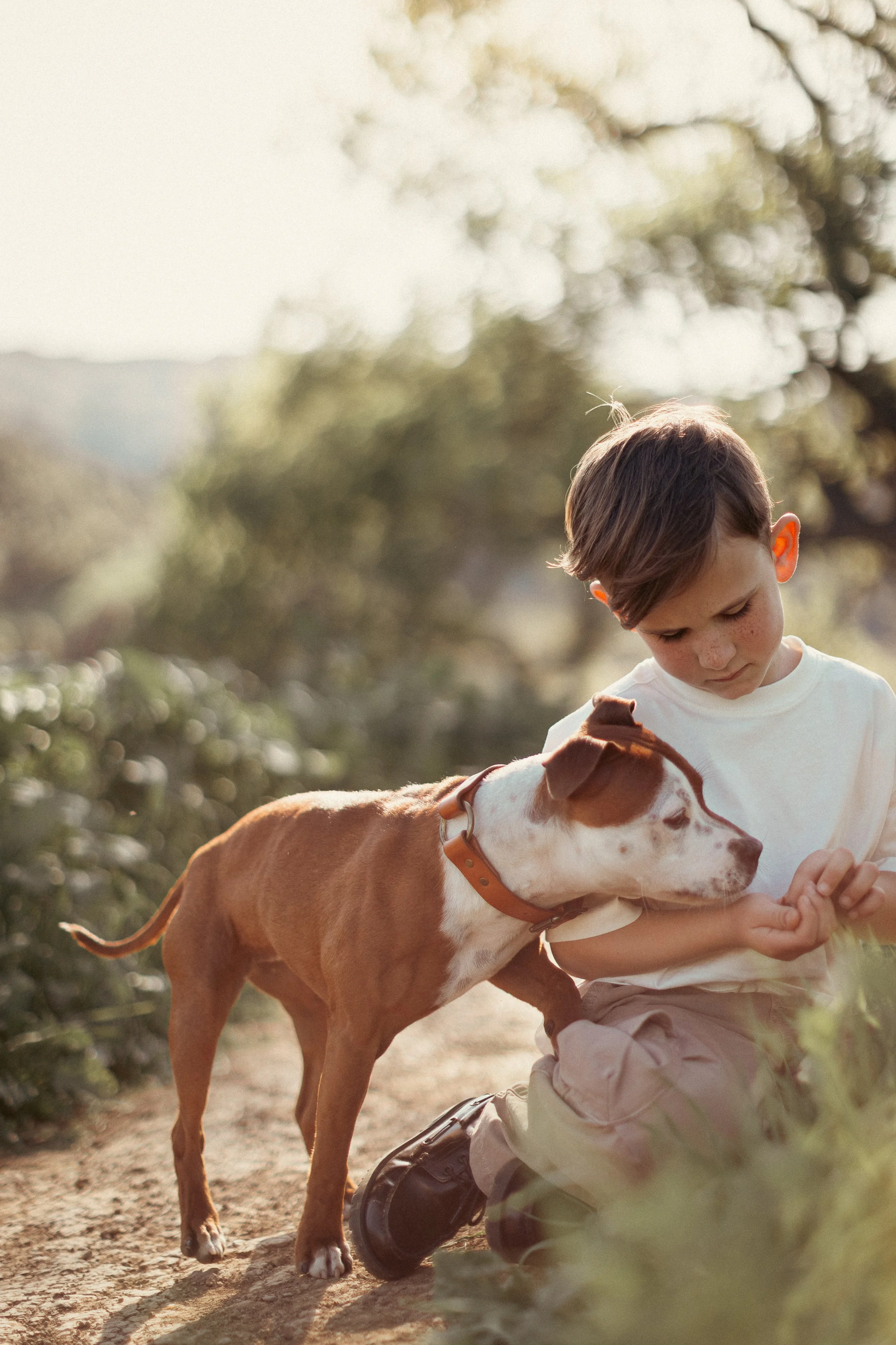 A young boy sitting outdoors with a brown and white dog, looking at something in the boy's hand. The boy is wearing a white shirt and beige pants, and the dog is wearing a collar. The background is blurred with natural scenery.