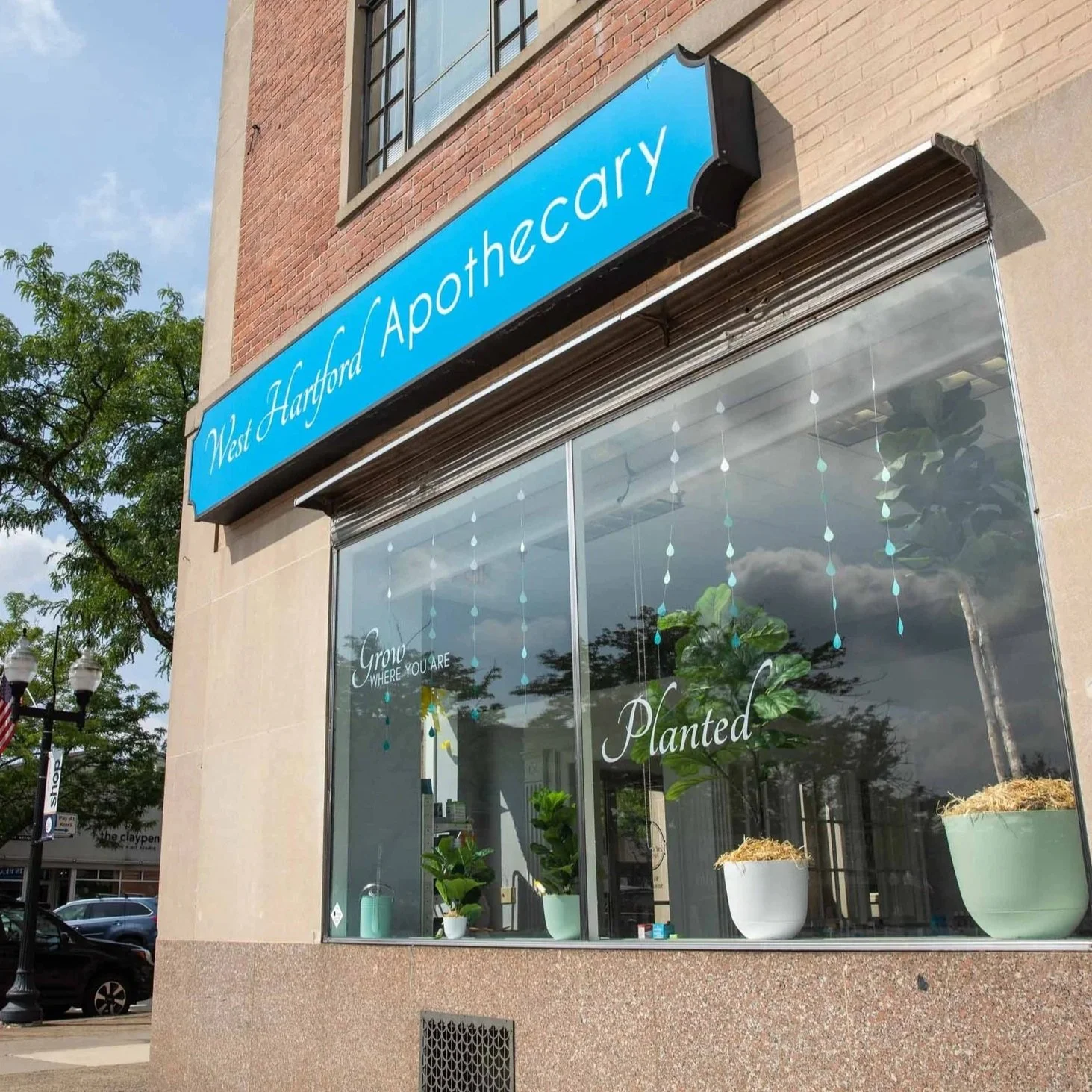 WHApothecary_JulyBranding-91.jpg