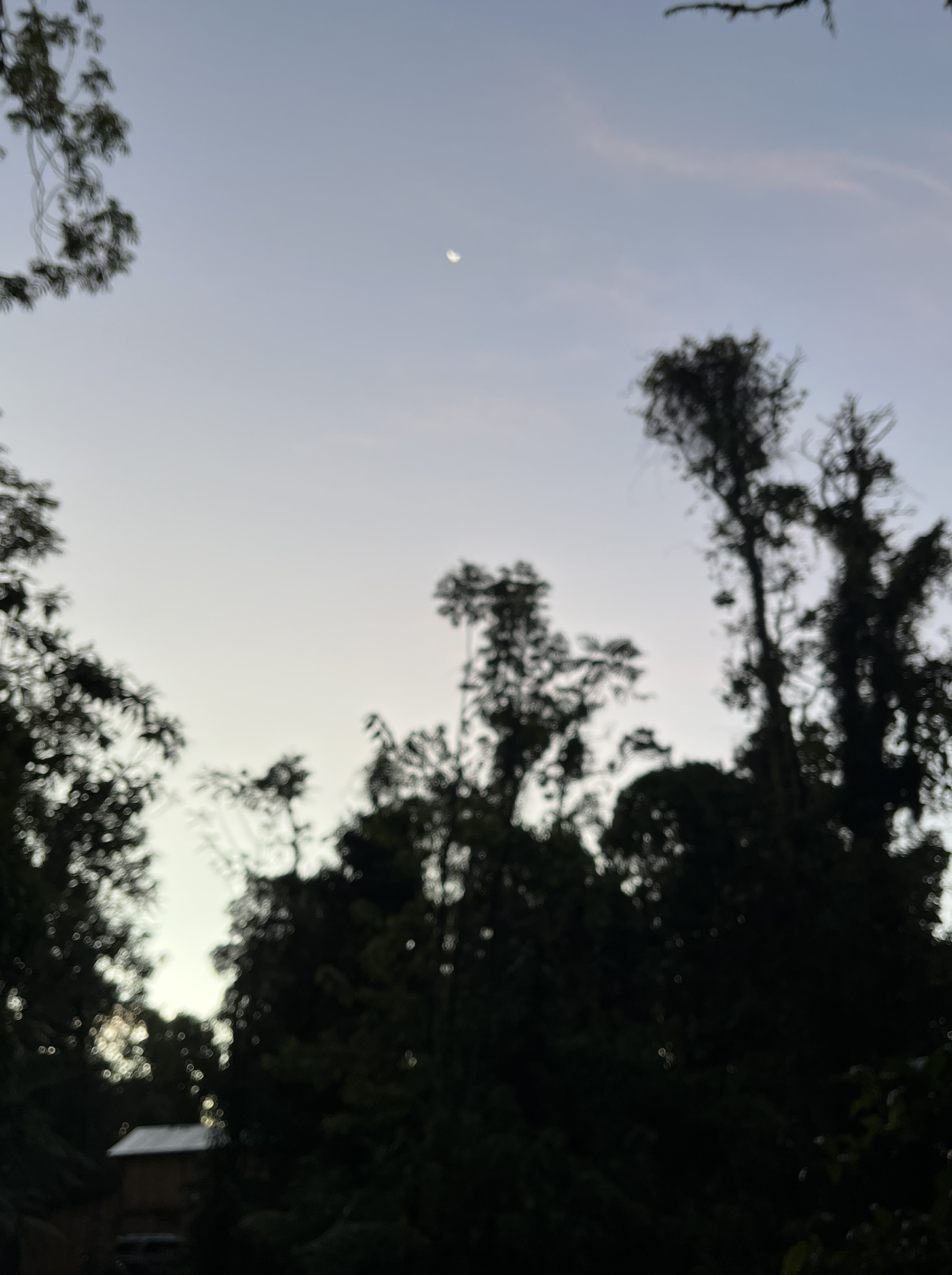 Screenshot 2025-12-21 at 4.46.16 AM.png