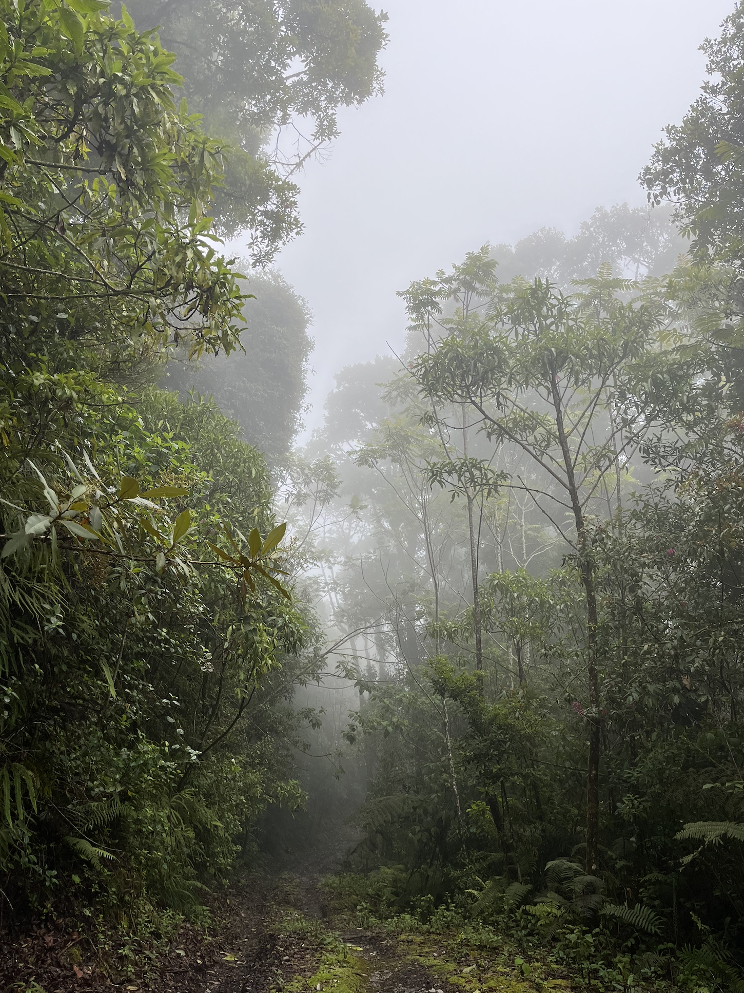 Screenshot 2025-12-21 at 4.50.36 AM.png