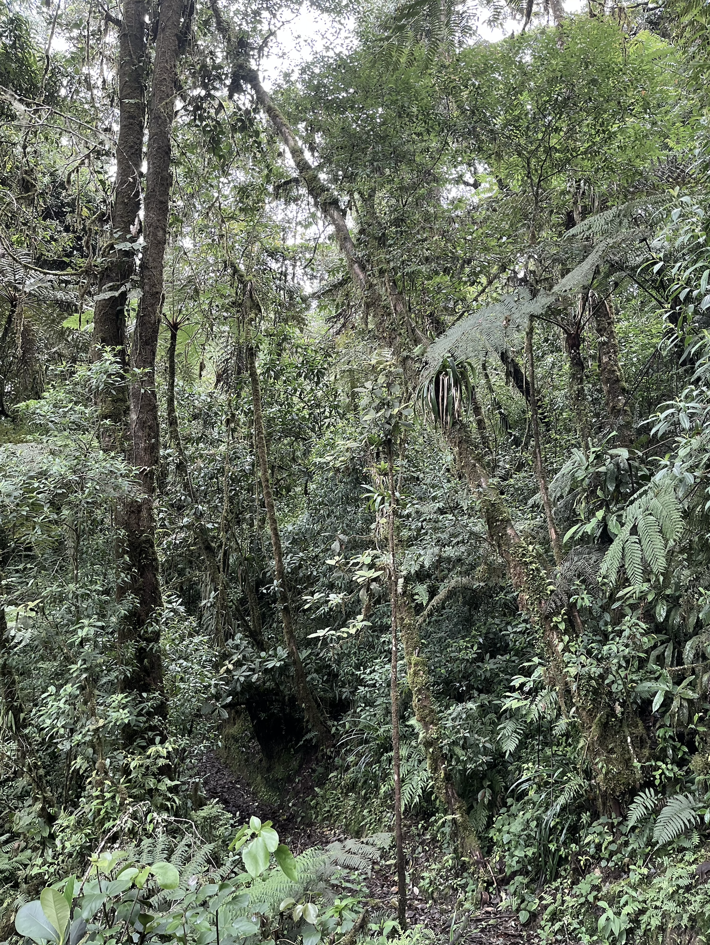 Screenshot 2025-12-21 at 4.46.00 AM.png