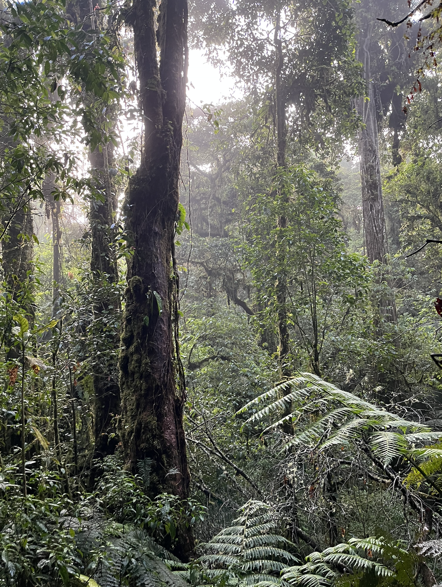 Screenshot 2025-12-21 at 4.46.22 AM.png