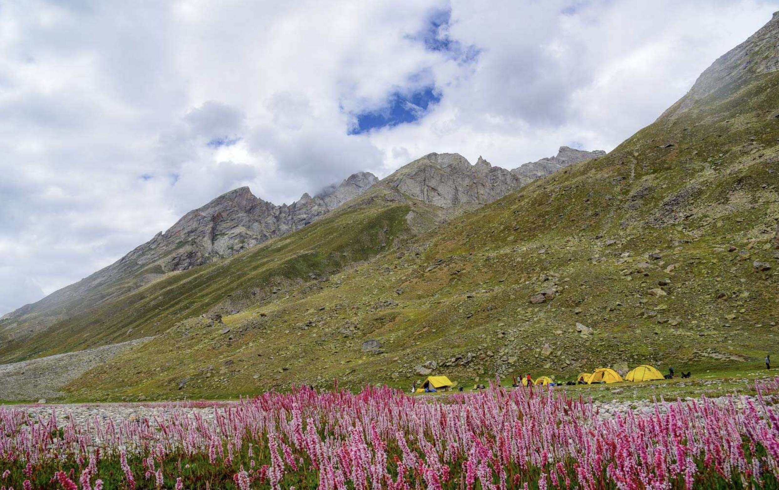 A trekking camp, during the flowering season, Miyar, India.