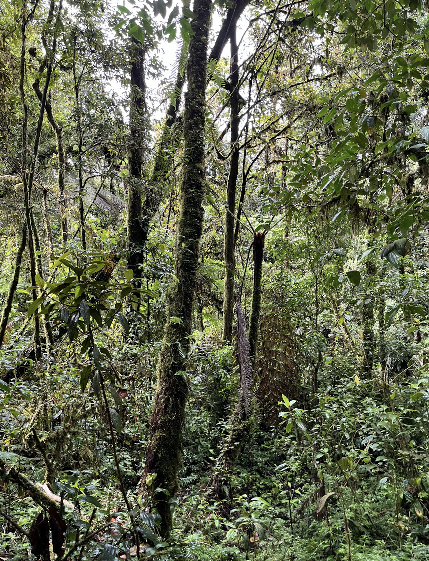 Screenshot 2025-12-21 at 4.45.42 AM.png