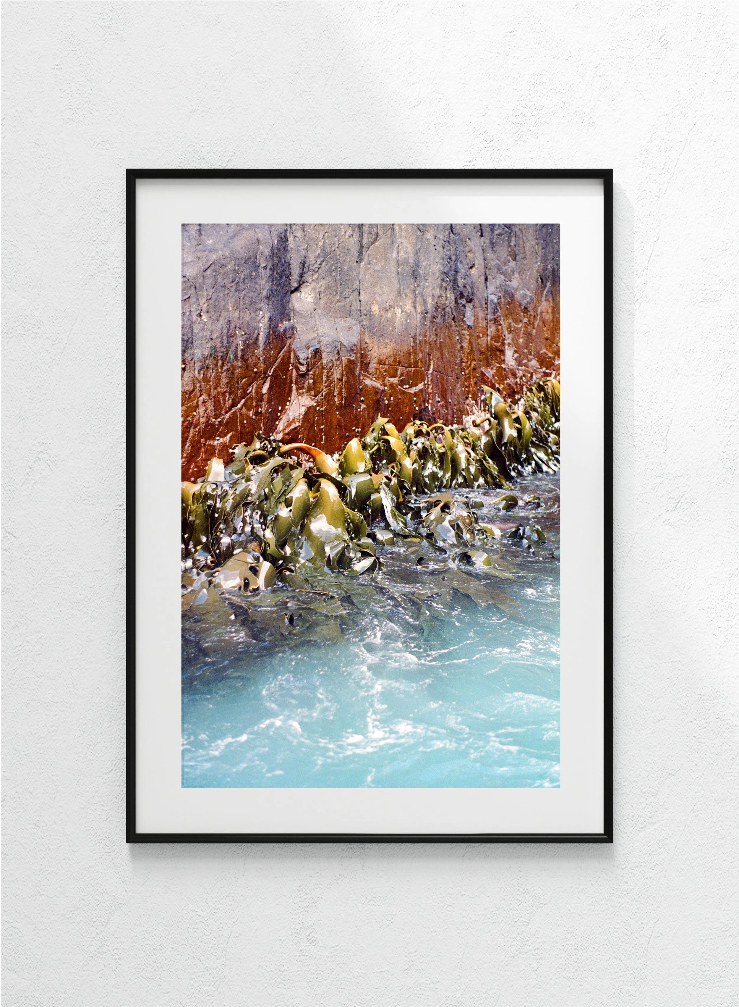 Kelp - black, matt.jpg