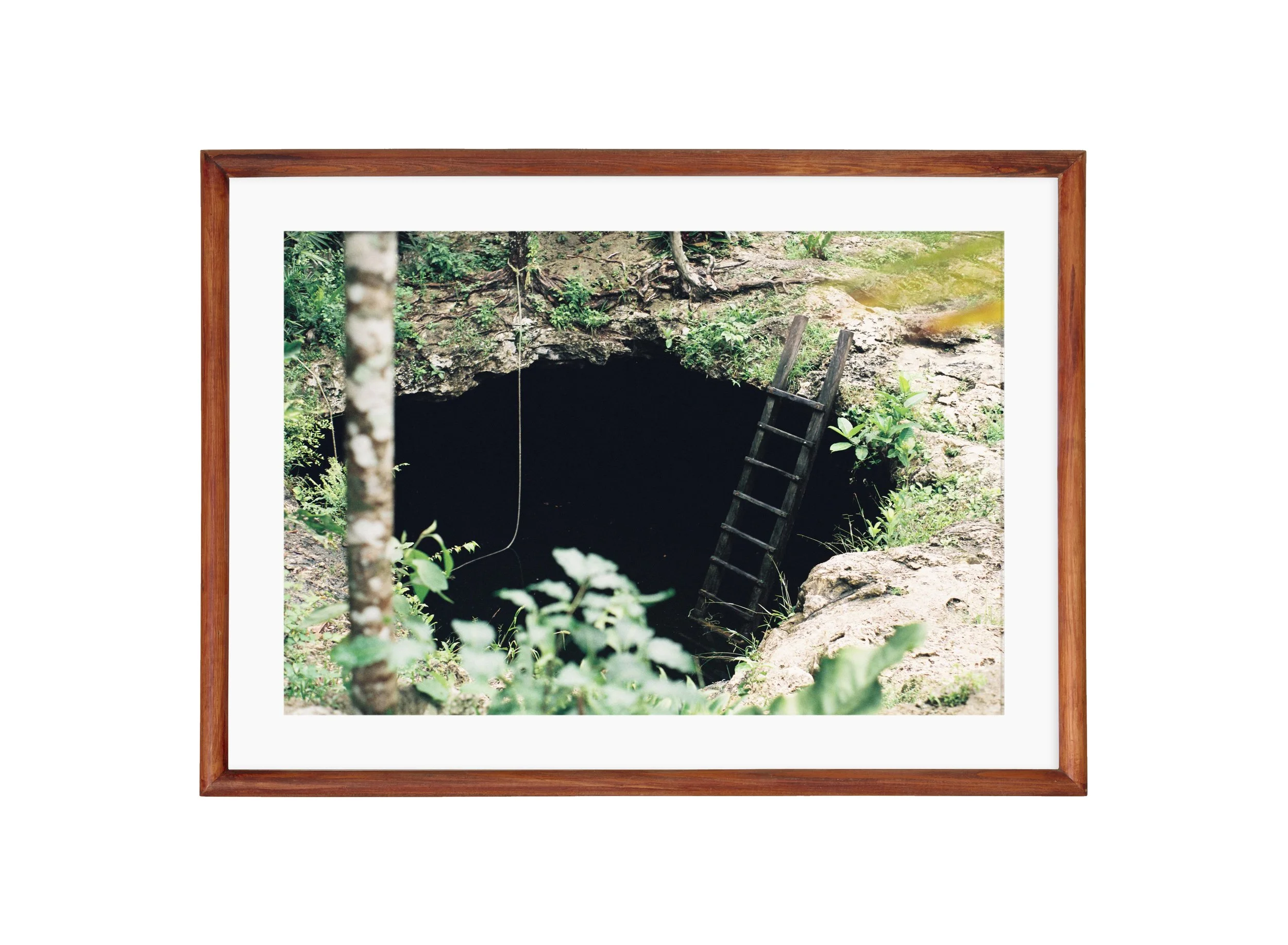 Cenote - brown, matt.jpg